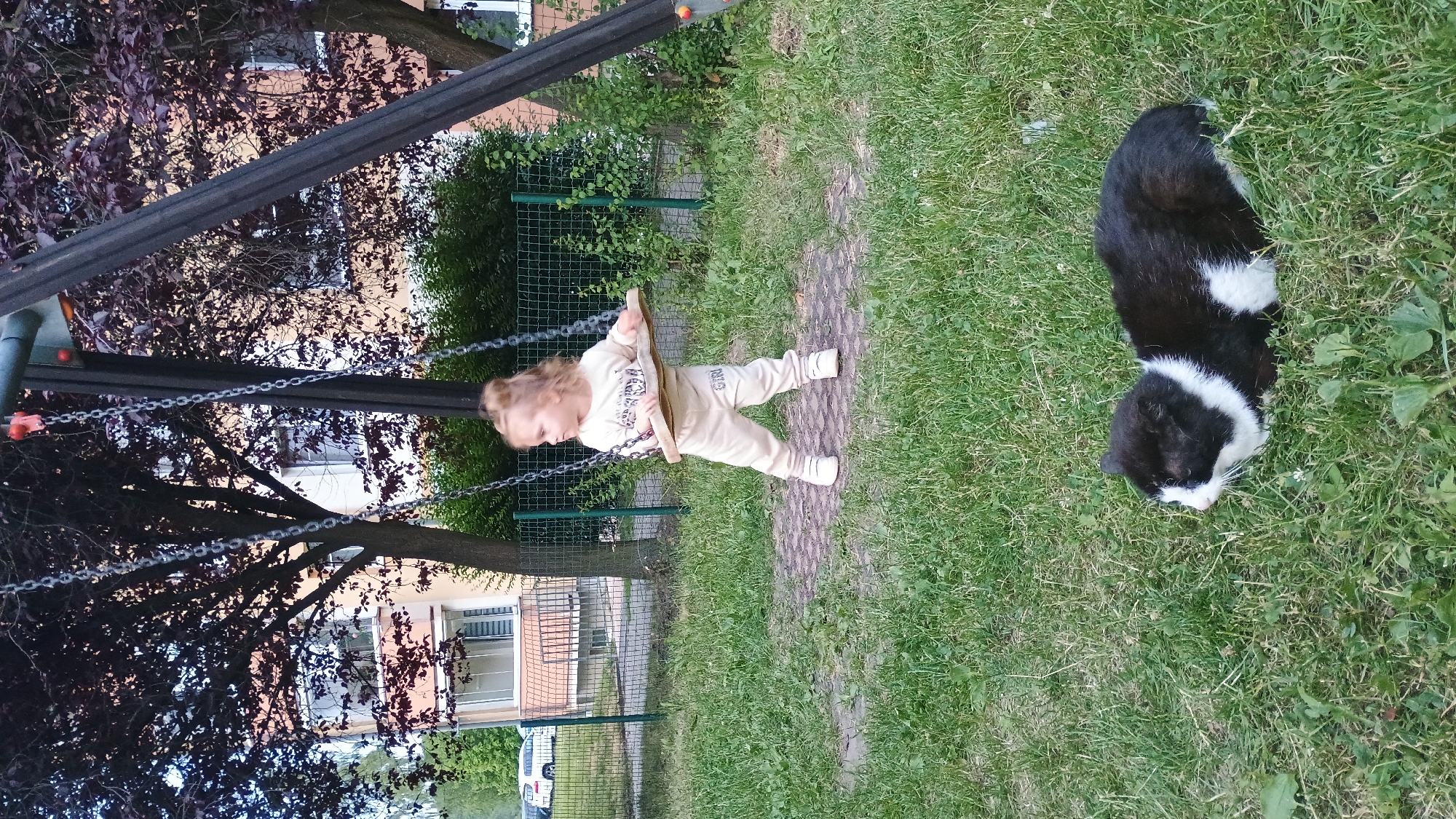 In the city of Sokolov, Czechia, a young child with blonde hair tied in a bun stands on a swing set with a wooden seat in a grassy area. The child is wearing a light-colored outfit with the word "GIRL" printed on the pants. A black and white cat is lying on the grass in the foreground. In the background, there are trees with dark leaves and a multi-story building. A green metal fence is visible behind the swing set.