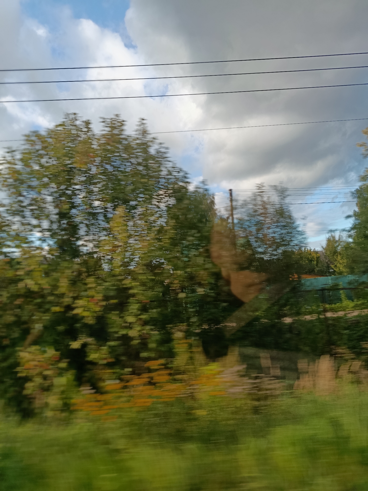 The image depicts a blurred view of trees and sky, likely taken from a moving vehicle. There are four horizontal power lines visible in the upper portion of the image against a backdrop of clouds and blue sky. The trees are predominantly green with some hints of yellow and orange, suggesting it might be autumn. A faint reflection of what appears to be a person can be seen in the lower right half of the image, superimposed on the trees. The lower part of the image is a blurry green expanse, likely grass or foliage. No specific landmarks or details that could pinpoint the location in 1-Go Maya, Russia are discernible due to the motion blur and the generic nature of the scene.