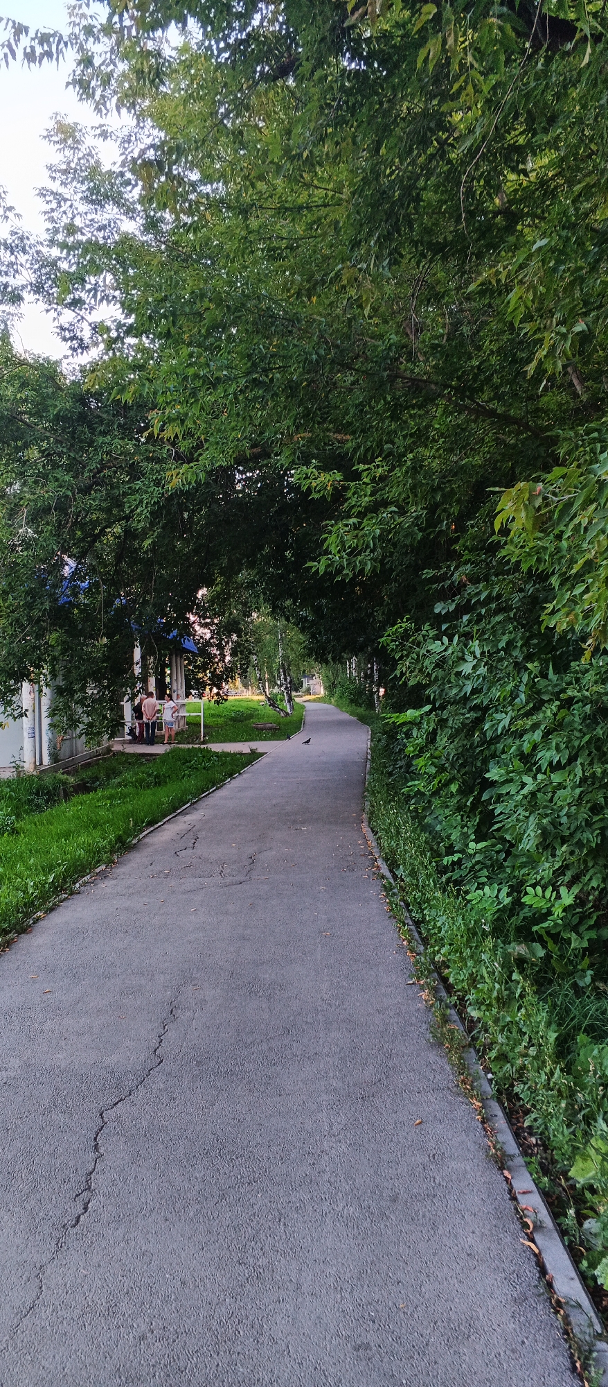 The image depicts a paved pathway curving through a residential area in Izhevsk, Russia. The pathway is lined with lush green trees and bushes on both sides. On the left, there are buildings and a patch of grass with several people standing near a fence. A small black bird is visible on the pathway in the distance. The time of day appears to be late afternoon or early evening, with soft lighting filtering through the trees. The overall impression is one of a peaceful, urban green space.
