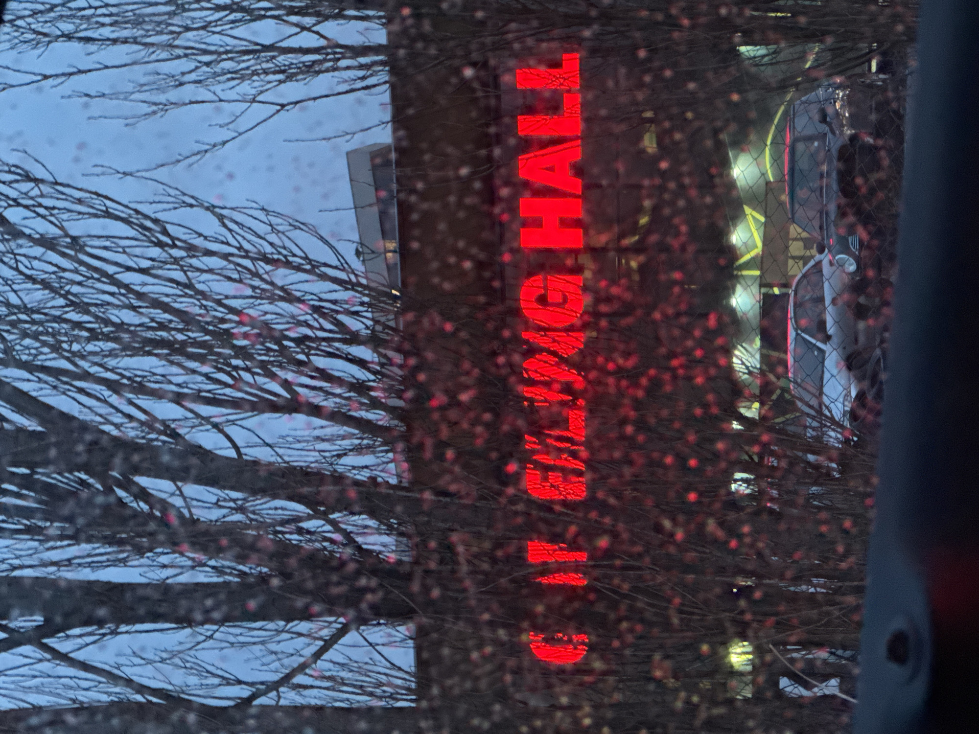 The image, likely taken from inside a vehicle, shows a blurred view of the red neon sign for "CINEMA HALL." This sign is located in Sofia, Bulgaria. The view is partially obstructed by raindrops on the window and bare tree branches in the foreground. A building is visible in the background to the left of the sign. To the right of the sign, there appears to be a fence and a glimpse of a vehicle in the distance. The sky appears overcast or dusky.