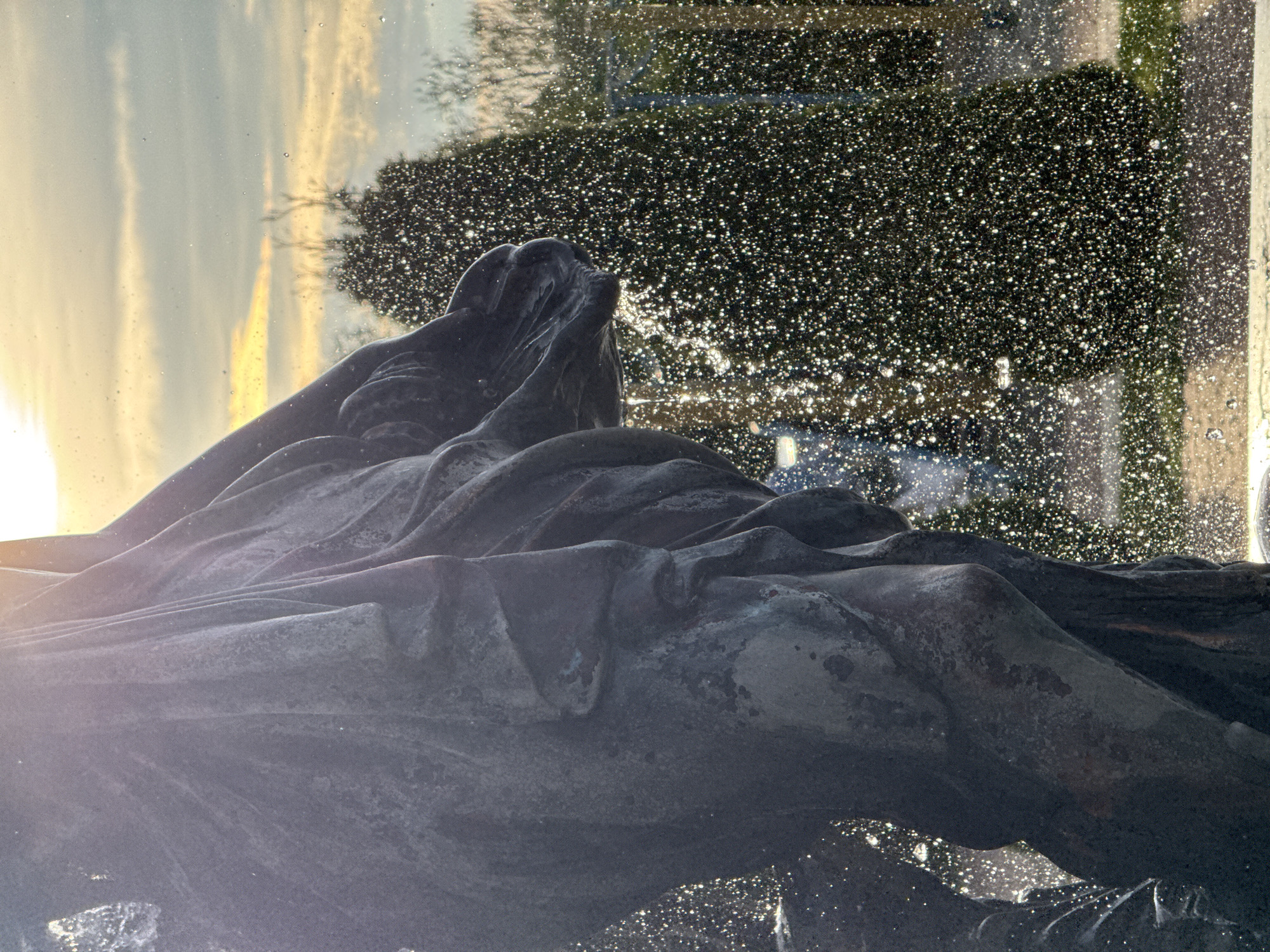 This detailed image captures a monumental bronze or dark stone statue, partially obscured, depicting a figure draped in heavy, flowing fabric. A human face in profile, with a discernible nose and chin, is visible on the statue's left side. The statue's surface displays a weathered, mottled texture with varying shades of dark grey and subtle blue-green patination. The statue is actively engaged with a fountain, as numerous illuminated water droplets spray and fall around and from its lower parts, creating a sparkling curtain against the background. Strong backlighting from the upper right, indicative of a low sun (sunrise or sunset), casts a warm, golden glow on the sky and illuminates the water droplets. The background consists of a blurred landscape featuring dense, dark green conical shrubs or trees, and more sparse, bare-branched trees against a sky that transitions from soft blue-grey to warm golden and pale yellow hues near the horizon. A darker ground surface is visible at the bottom. This scene is located at the **Victory Monument in Victory Square (Ploshchad Pobedy)** in Minsk, Belarus, where large allegorical sculptures are integral to the fountain complex surrounding the central obelisk.