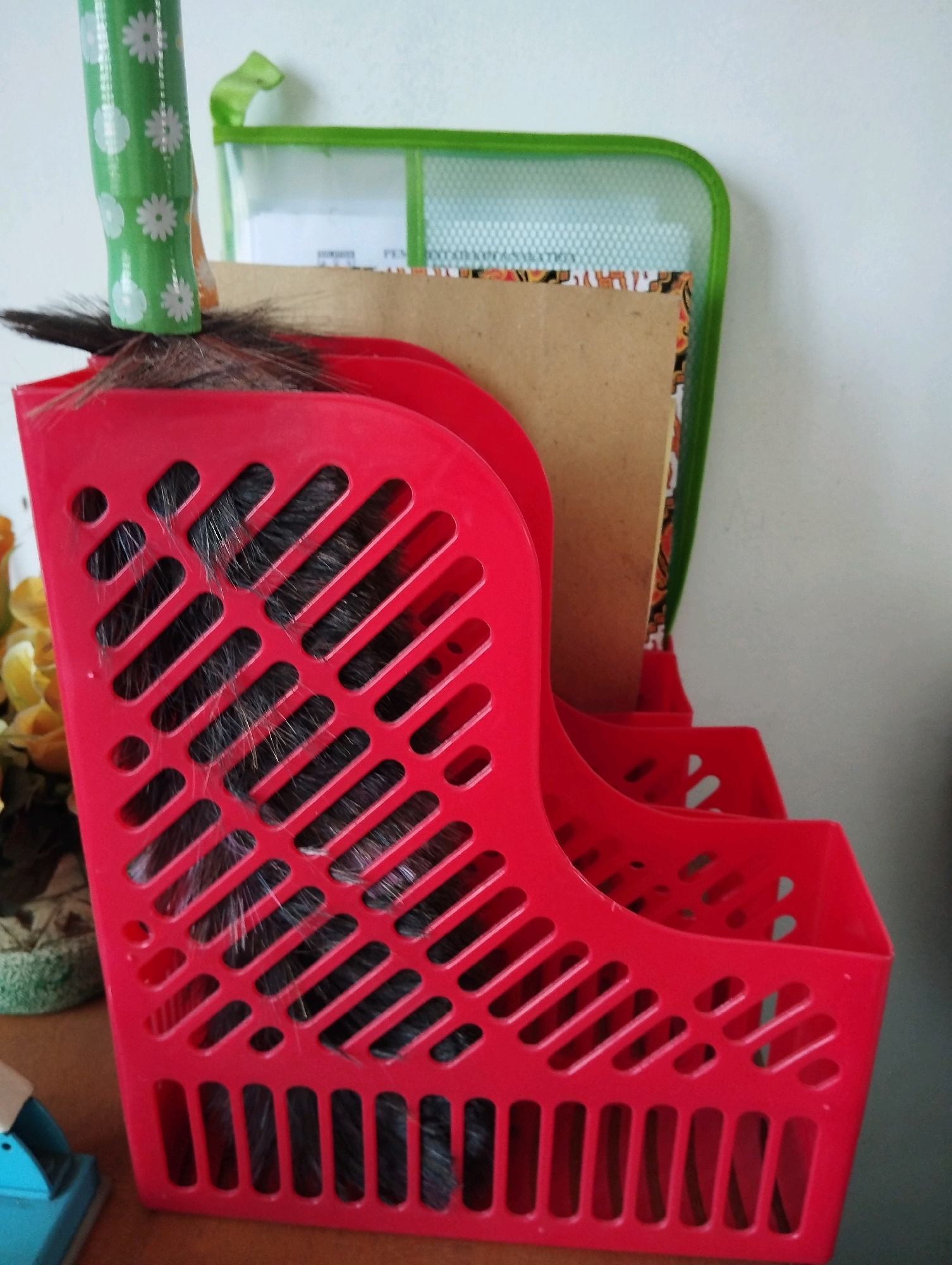 The image shows a red plastic desk organizer containing what appears to be a collection of dark-colored, furry material. The organizer has an open, slatted design. A green cleaning brush with a white floral pattern is partially visible protruding from the top of the organizer. Behind the organizer, there is a green mesh pouch containing papers. To the left, a potted plant with yellow flowers is visible, and to the far left, a blue object, possibly a stapler, is in the foreground. The background is a plain, light-colored wall. The scene appears to be an indoor setting, likely a desk or shelf area, in a home or office. The image was taken in Salatiga, Indonesia.