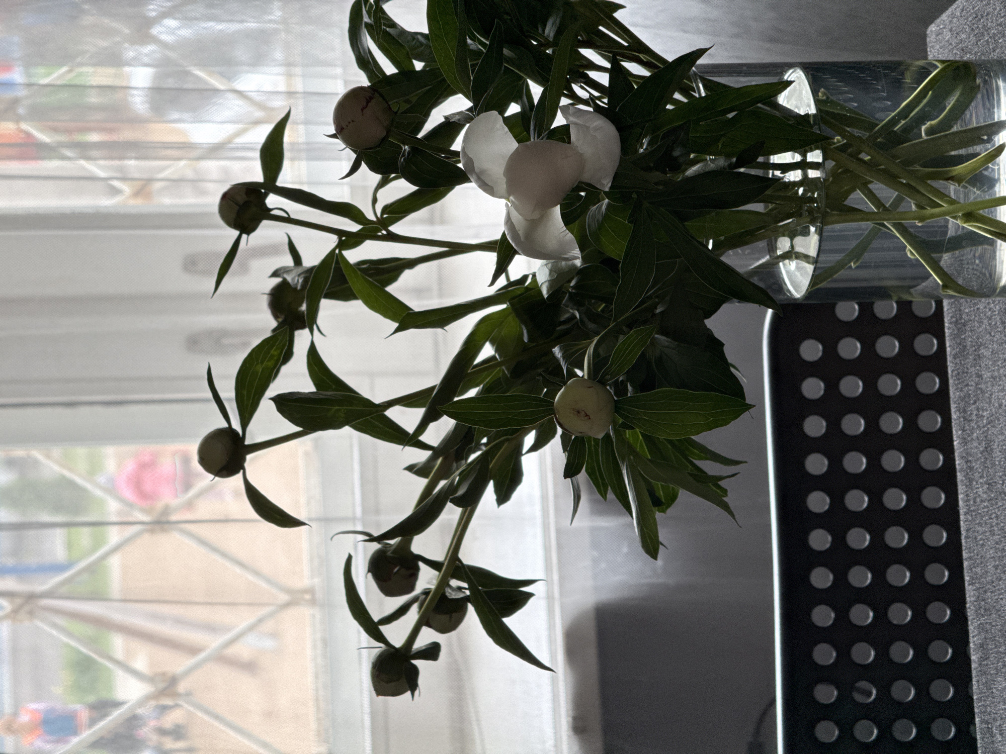 The image depicts a vase of peonies with several buds and one partially opened white peony, situated on a table in front of a window. The window has a diamond-patterned grate and a sheer white curtain, through which figures of people are visible outdoors. The scene appears to be indoors, with a dark, perforated object in the foreground that could be part of a chair or table. The overall lighting suggests it is daytime, with soft light filtering through the window. The specific location in Chaikovsky, Russia, cannot be determined from the visual information provided.