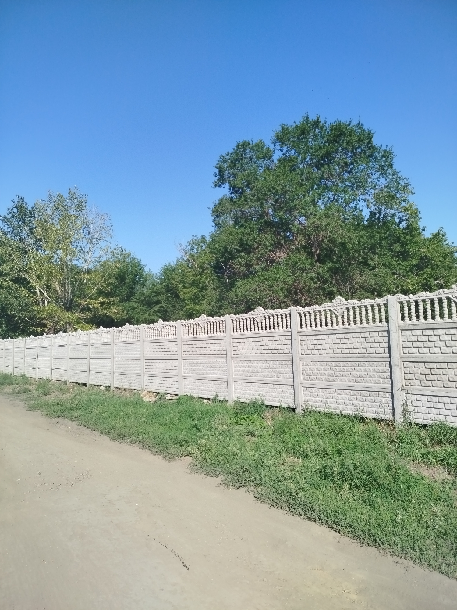 The image shows a concrete fence with a decorative top, bordering a dirt road on the left and lush green grass on the right. Behind the fence, a dense line of trees forms a backdrop against a clear blue sky. In the far distance, a few faint birds are visible in the sky. The scene appears to be an outdoor environment, possibly on the outskirts of a town or in a rural area. The lighting suggests it is daytime, with the sun casting minimal shadows. There are no people or vehicles visible in the image. The condition of the fence is good, with no visible damage. The overall impression is one of a well-maintained property boundary.