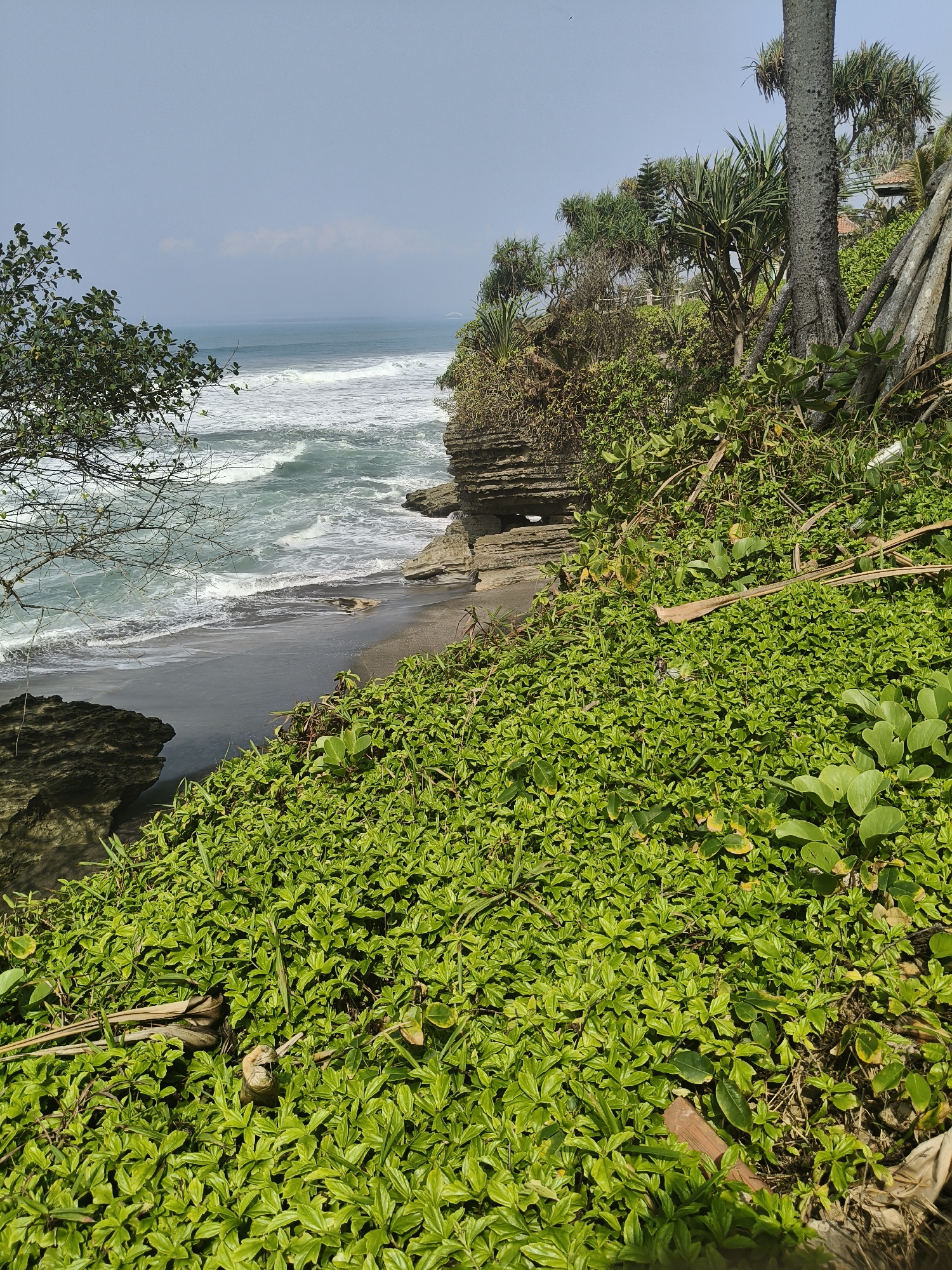 The image shows a coastal view in Desa Ciliang, Indonesia, with a black sand beach, rocky cliffs, and lush green vegetation covering the foreground and slopes. The ocean has moderate waves and a pale blue sky with some clouds. Several palm-like trees are visible on the cliffside. The scene is natural and undisturbed, with no people or man-made structures immediately apparent in the foreground.