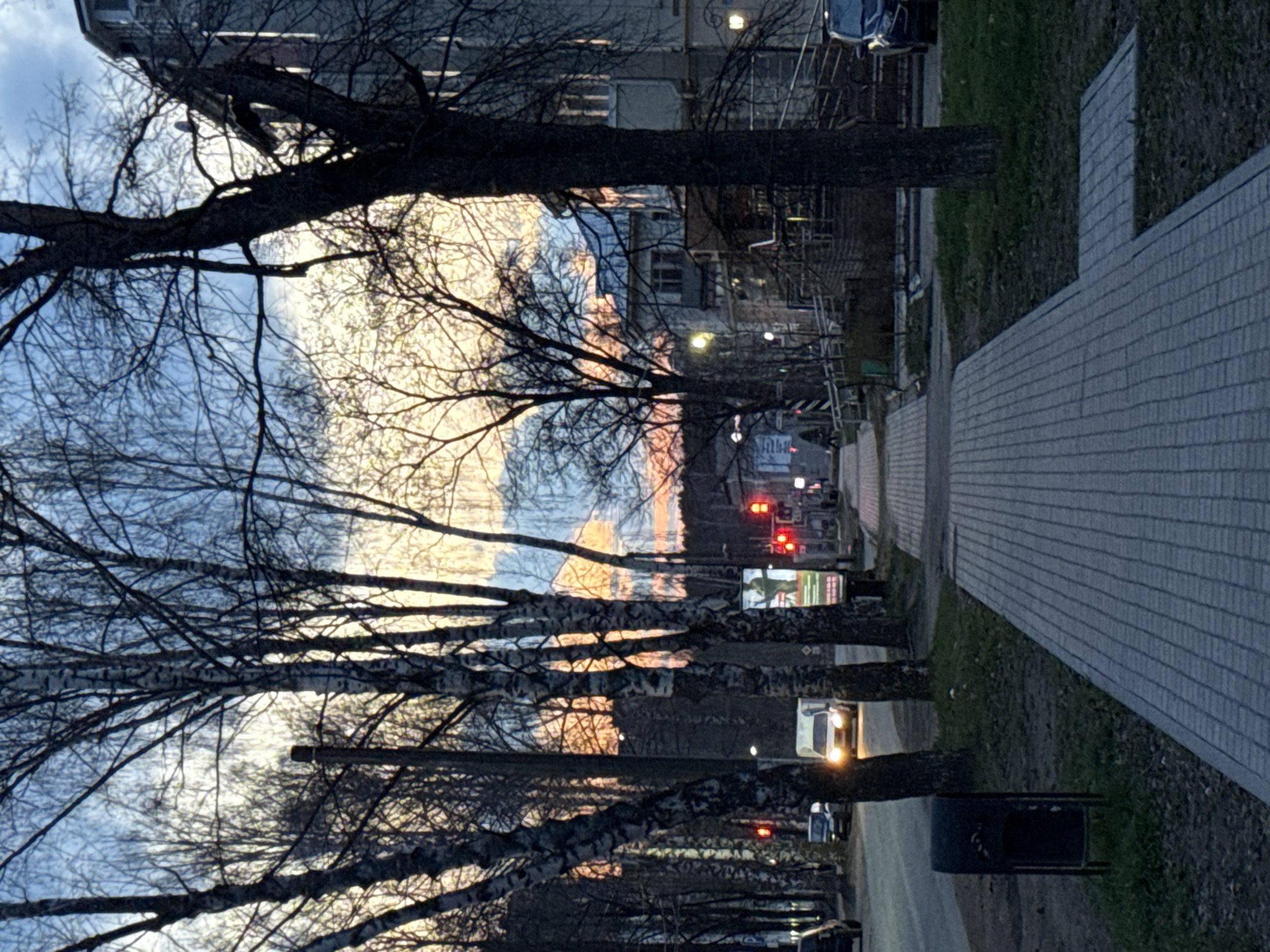 The image, oriented upright, captures an urban or suburban street scene during twilight, likely sunrise or sunset, in Chaikovsky, Russia. On the left, a row of bare deciduous trees, including several distinct birch trees with their characteristic bark, stand with branches silhouetted against a sky showing soft blue, orange, and yellow hues.
On the right, a paved sidewalk runs parallel to a street. In the background, multi-story buildings are visible. Cars are present on the road, with one vehicle having its headlights illuminated. Two sets of red traffic lights are visible, suggesting traffic is stopped or waiting. Streetlights are on, casting artificial light.
The scene depicts general street activity during the golden hour. A dark, rectangular trash can is situated near the sidewalk. An illuminated rectangular sign or billboard on the right side of the road displays an image (possibly a person or figure) and some unreadable text, likely in Cyrillic script given the location context. The bare trees indicate late autumn, winter, or early spring.