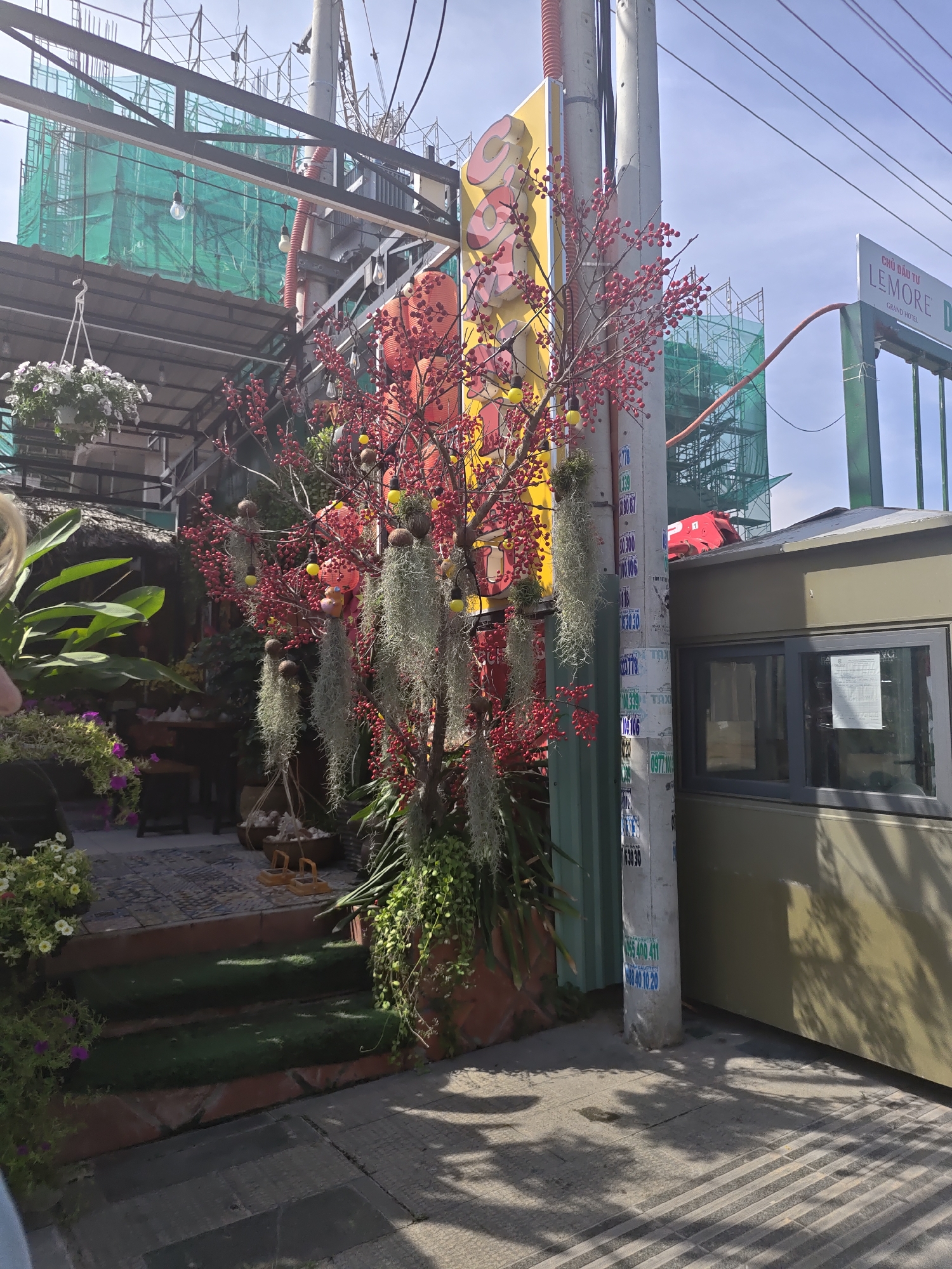 The image depicts an outdoor scene in Phu Thuy Ward, Vietnam, likely near a street or commercial area. In the foreground, a decorative tree with red berries and hanging moss-like ornaments is prominently featured. To the right, a pale yellow guard booth with a gray-framed window is visible. A concrete utility pole stands next to the booth, covered in various stickers and advertisements. Behind the tree and booth, a building with a thatched roof and lush green plants is partially visible. Further in the background, scaffolding and green netting suggest ongoing construction, possibly for a hotel, indicated by a sign that reads "CHỦ ĐẦU TƯ LEMORE GRAND HOTEL". The overall atmosphere is one of a bustling urban environment with elements of both commercial activity and construction. The lighting suggests it is daytime, with shadows cast on the ground from the overhead structures and foliage.