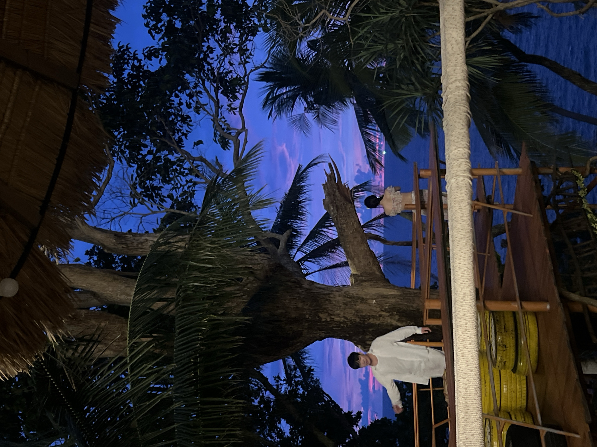 A man and a woman are standing on a wooden platform on a tropical island at dusk. The man, wearing a white shirt, stands to the left and faces towards the sea. The woman, wearing a floral top, stands to the right and faces away from the viewer. The platform is elevated and surrounded by palm trees and a large tree with a thick trunk. The background features a deep blue sky with streaks of pink and purple clouds, indicating sunset. The sea is visible in the distance, appearing dark blue. The scene suggests a serene and romantic setting, possibly a restaurant or bar, in Karon, Thailand.