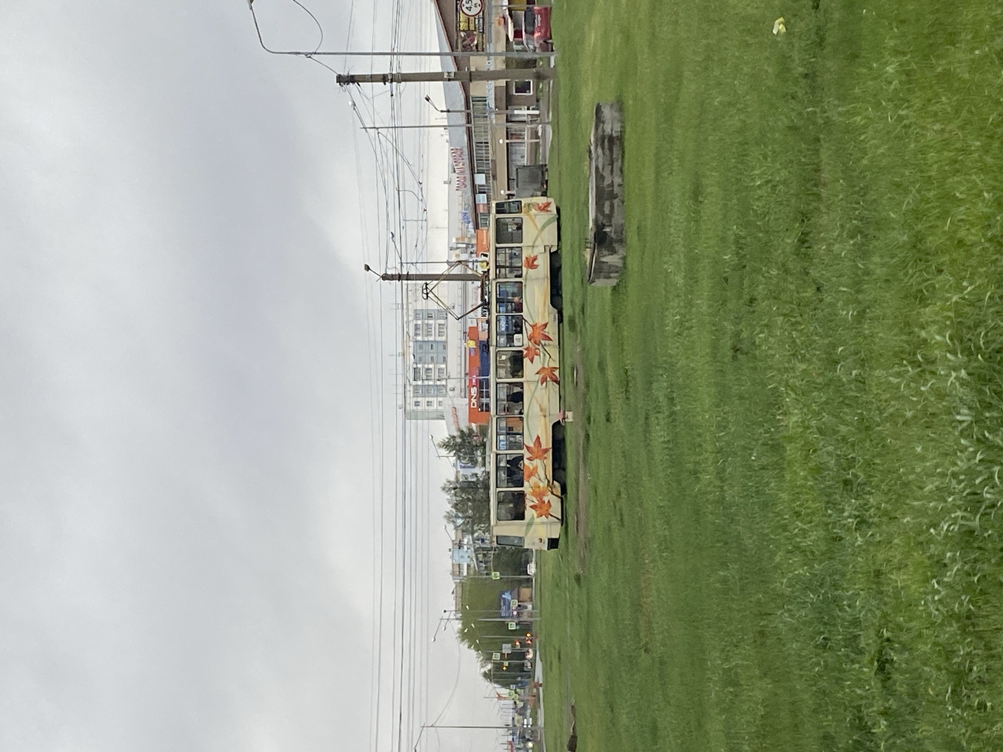 The image shows a tram decorated with maple leaf designs, traveling along a track in Usolye-Sibirskoye, Russia. The tram is on the left side of the image, parallel to a green grass field on the right. Overhead wires for the tram are visible, extending towards buildings in the background. The sky is overcast. The city of Usolye-Sibirskoye is identifiable by its typical urban landscape including the types of buildings and transportation infrastructure. There are no people explicitly visible in the image.