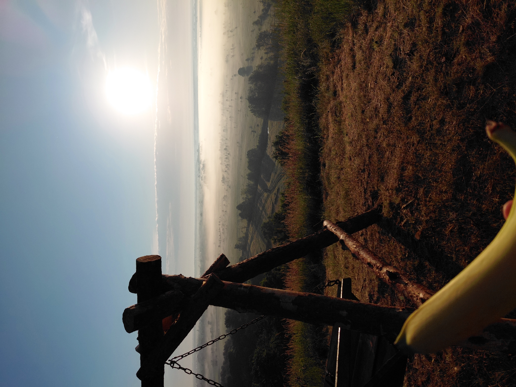 A wooden swing set, constructed from rough-hewn logs, stands in the foreground, silhouetted against a bright, hazy sun. The swing set is positioned on a grassy hilltop, with dry, brown grass covering the ground. A yellow banana is held in the lower right corner of the frame, out of focus. Beyond the swing set, a vast landscape unfolds, shrouded in a thick layer of morning mist. The mist obscures the lower portions of scattered trees and fields, creating a soft, ethereal atmosphere. The sun, a brilliant disc, hangs high in a clear blue sky, casting a warm glow over the scene. The location is identified as Ustyvytsia, Ukraine.