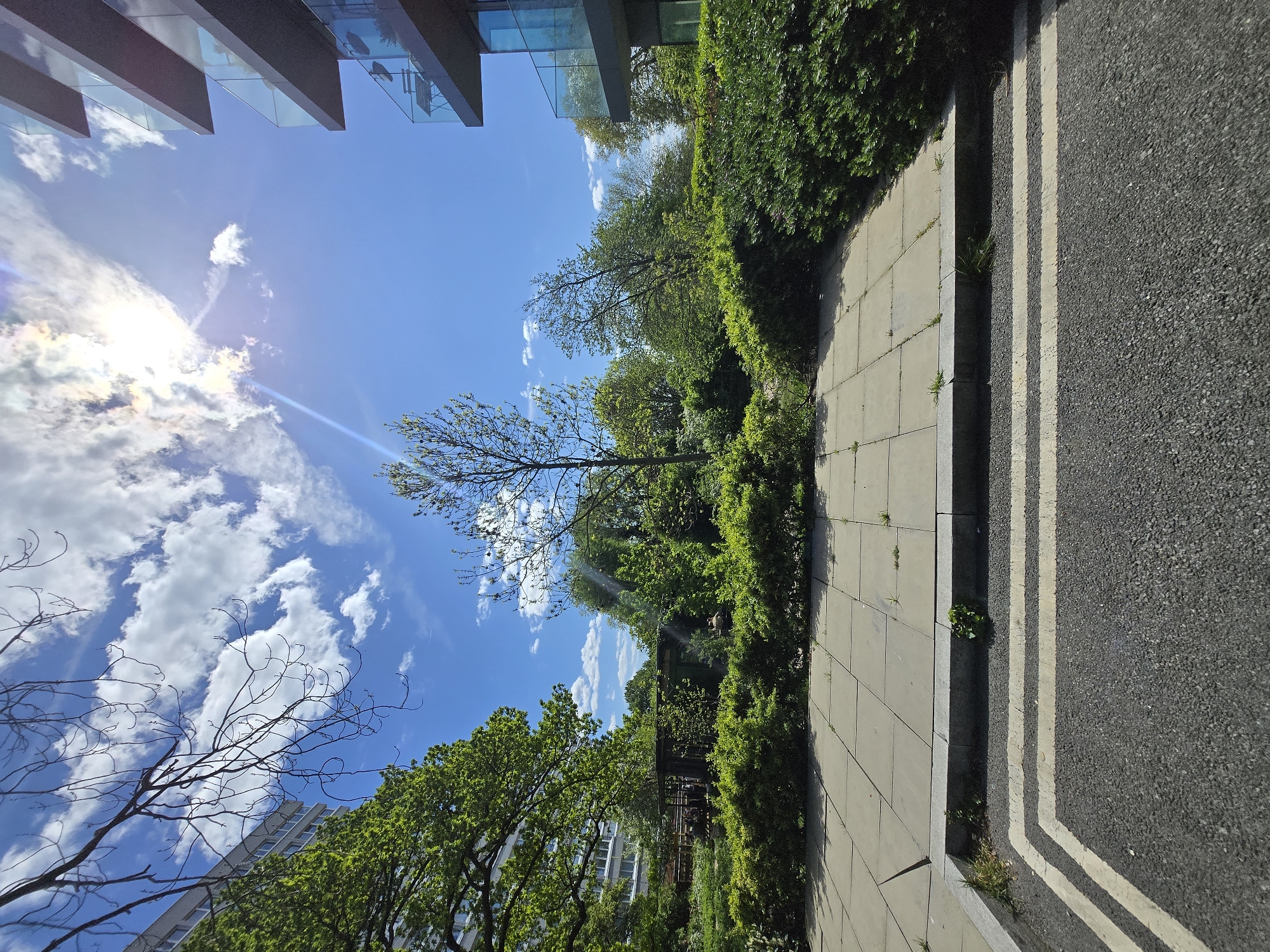 The image depicts an upward view of a street scene, likely in a densely populated urban area, possibly London, United Kingdom. At the top left corner, the edges of modern building exteriors with glass panels are visible. The sky is bright blue with scattered white clouds, with the sun visible. Trees are interspersed between buildings. A sidewalk or pedestrian walkway runs along the right side of the frame, adjacent to a section of asphalt road marked with double yellow lines. A dense row of bushes and trees lines the sidewalk, creating a green border. The perspective is directed upwards and tilted at a slightly strange angle. There is no one visible in this photo.