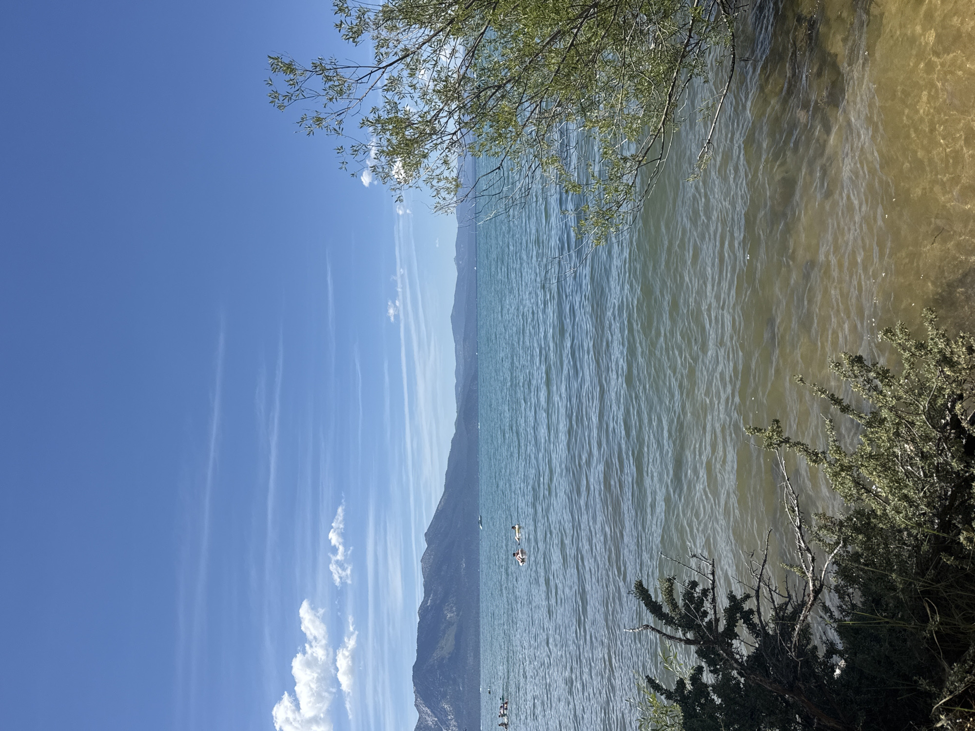 The image depicts a serene lake scene under a bright blue sky with scattered clouds. In the foreground, lush green vegetation and branches frame the right and lower left portions of the frame. The lake's surface is calm with gentle ripples, and the water is clear, revealing the sandy bottom near the shore.
In the mid-ground, several people are visible enjoying the water. Two individuals are casually floating on inflatable tubes in the center of the frame. To the left, a small group of people are on a raft or paddleboard. A white boat is positioned further out in the lake.
In the background, a majestic mountain range stretches across the horizon, its slopes covered in green vegetation and appearing snow-capped in some areas. The overall atmosphere is peaceful and idyllic, suggesting a warm, sunny day at a popular lakeside recreational spot, likely in the city of South Lake Tahoe, United States of America, known for its natural beauty and outdoor activities.