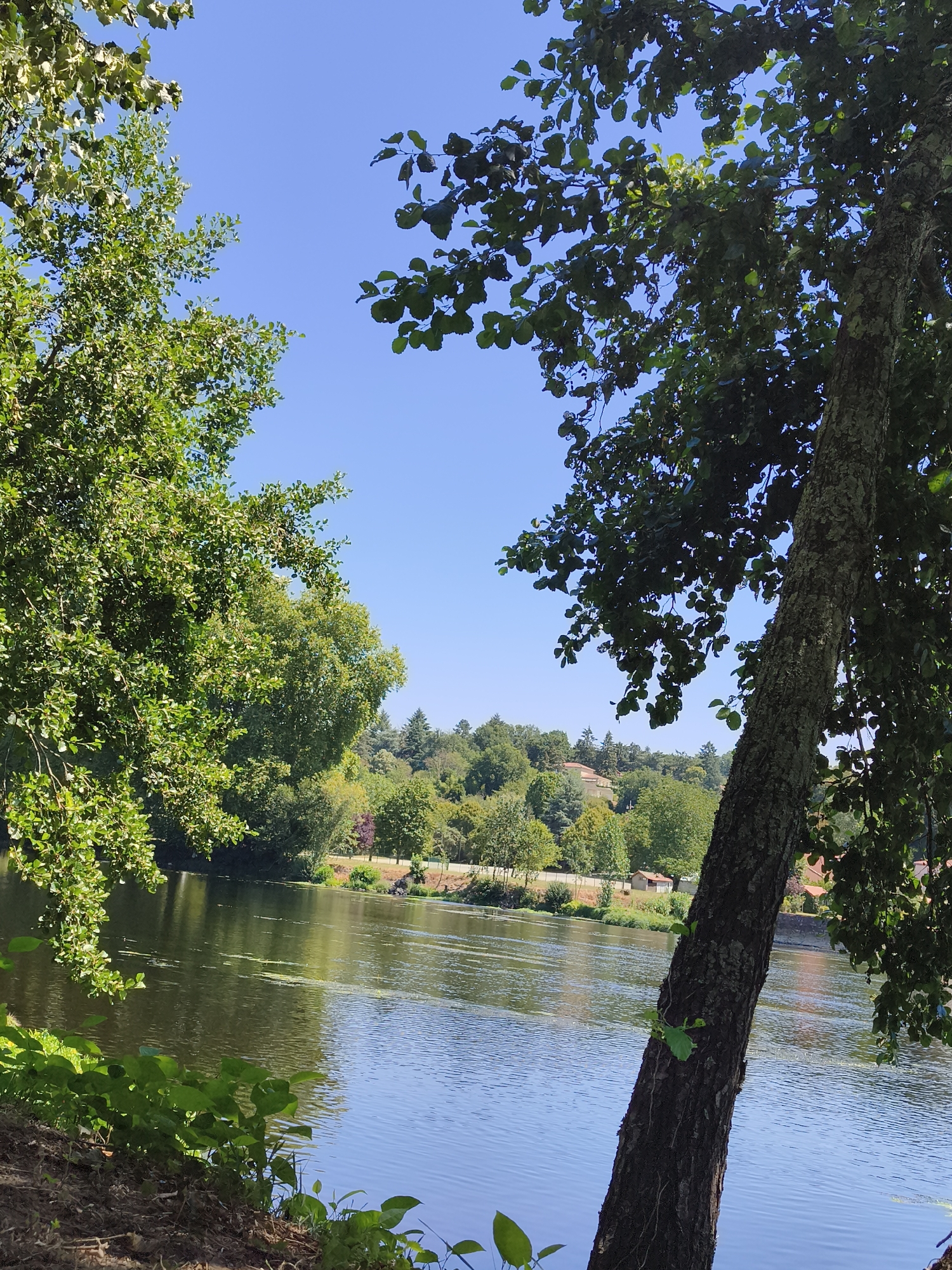 The image captures a serene river scene in Confolens, France, on a clear, sunny day. A calm, wide river flows through the center of the frame, reflecting the bright blue sky and surrounding lush greenery. On the left bank, dense foliage of trees with vibrant green leaves creates a natural border, with some branches extending over the water. The right bank is characterized by a gently sloping, tree-lined hill dotted with several small buildings and rooftops, suggesting a residential area nestled within the landscape. In the foreground, the earthy bank slopes down to the water's edge, with patches of grass and small green plants. The overall impression is one of tranquility and natural beauty, indicative of a peaceful riverside setting in the French countryside.