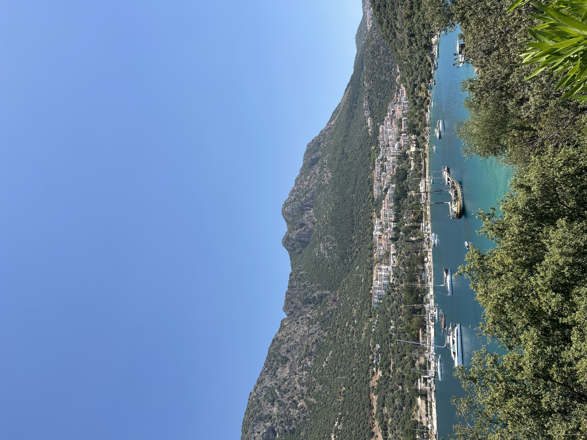 The image shows a hillside view of the city of Kaş, Turkey. A steep, rocky mountain covered in dense green vegetation slopes down to the turquoise waters of a bay or harbor. The mountainside is dotted with white buildings, presumably residences or hotels, cascading down towards the water's edge. Numerous boats, including sailboats and yachts, are docked in the harbor. Lush green trees frame the right side of the image. The sky is a clear, bright blue.