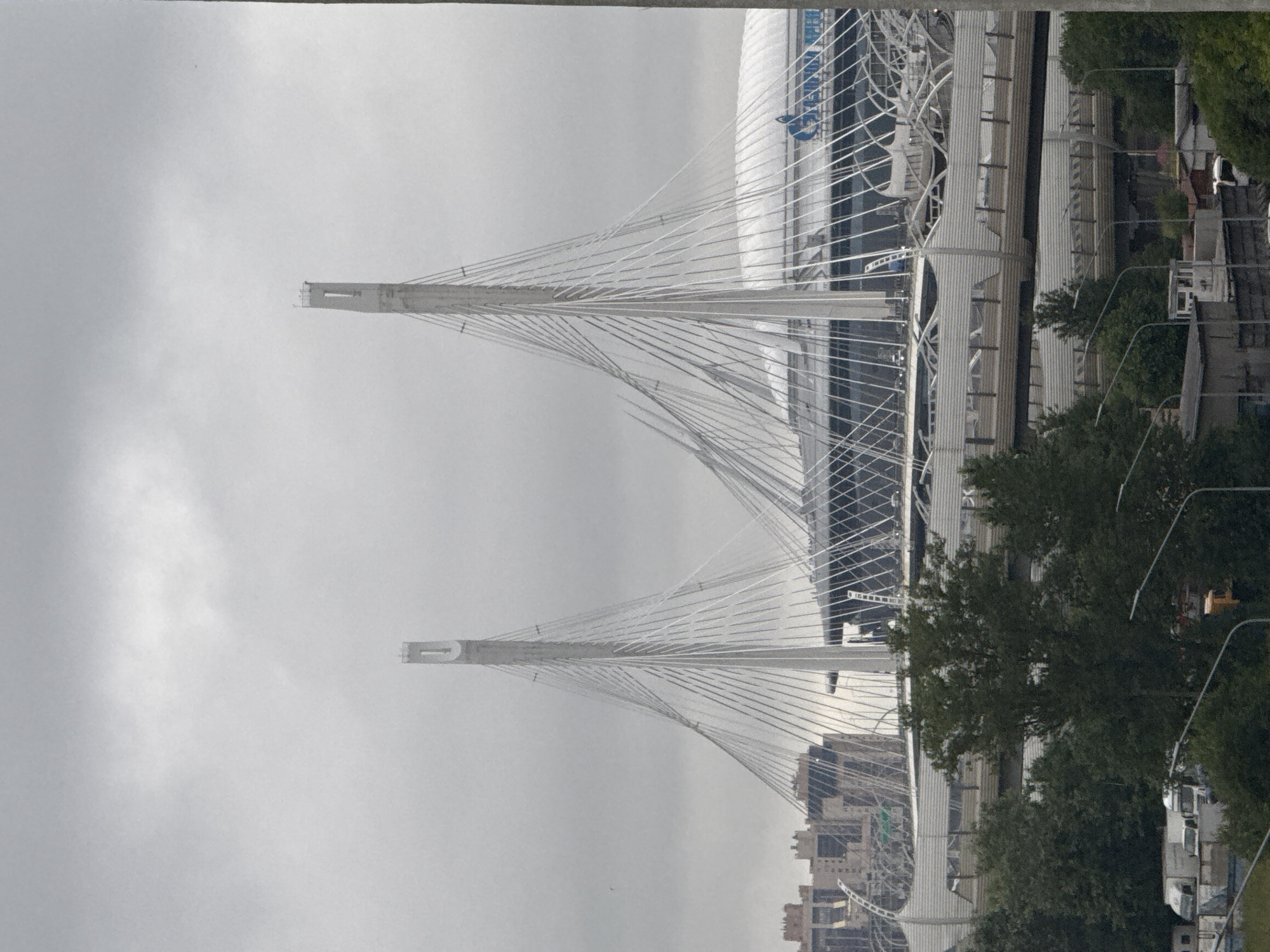 This is a photograph taken from a slightly elevated viewpoint, looking across a wide, cable-stayed bridge. The image is oriented vertically, suggesting it may have been rotated. The sky is overcast and appears to be a pale, uniform gray, indicating a cloudy day.
The primary subjects are the two pylons of the bridge, which are tall, white, and architecturally distinctive. They support a dense network of white cables that fan out over the bridge's deck, creating a striking geometric pattern against the muted sky. A portion of a large, modern building with a white, curved facade and dark windows is visible behind the bridge on the right side of the image, suggesting an urban setting. Below and to the right of the bridge, a cluster of trees with dark green foliage can be seen. Further in the background, a cityscape with buildings of varying heights is discernible, including what appears to be a Ferris wheel. On the far right, a street is visible with parked vehicles, including trucks and cars, and streetlights.
There are no people directly visible in the foreground or the main focus of the image. The activity is primarily static, focusing on the infrastructure of the bridge and its surroundings. The time of day is difficult to ascertain precisely due to the overcast conditions, but it appears to be daytime. The weather is clearly cloudy.
Notable details include the intricate design of the cable-stayed bridge, the modern architecture of the adjacent building, and the urban landscape in the background. The overall mood is somewhat muted, consistent with the overcast weather.
There is text visible on the large building behind the bridge, including what appears to be a blue logo and some lettering in white. However, the text is not entirely clear or legible in this photograph. The location context provided indicates Saint Petersburg, Russia, which aligns with the presence of such modern infrastructure.