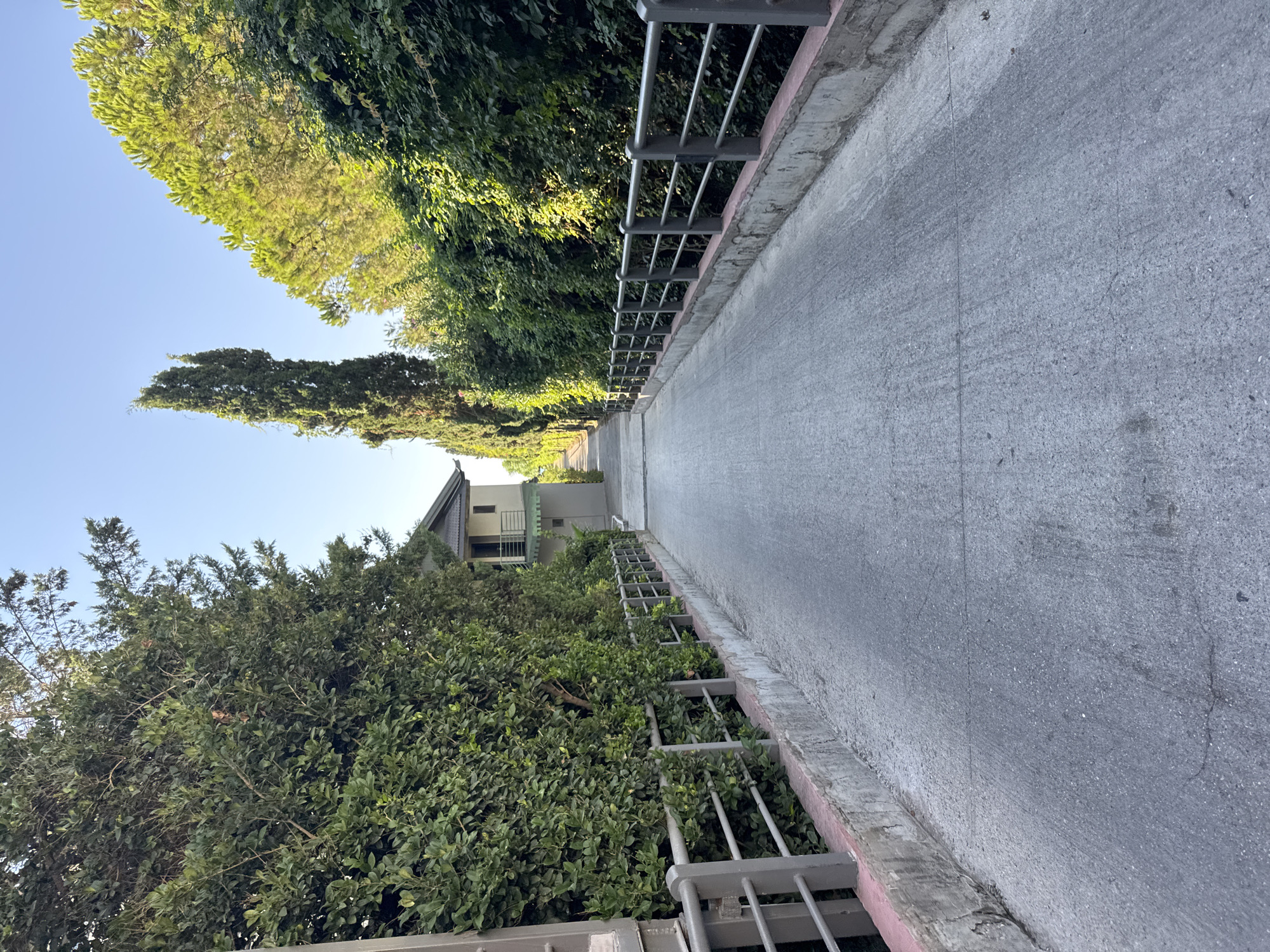 The image shows an empty paved pathway flanked by dense green trees and hedges on both sides, with a clear blue sky overhead. On the left, a light-colored building with a dark roof is partially visible, set back from the pathway. A grey metal railing runs along the side of the pathway, separating it from the vegetated areas. The pathway itself appears to be a slight incline, leading towards a distant point where more trees and a glimpse of the sky are visible. The scene suggests a tranquil, possibly residential or park-like environment. There are no people or animals present in the image. The overall impression is one of calm and natural beauty.