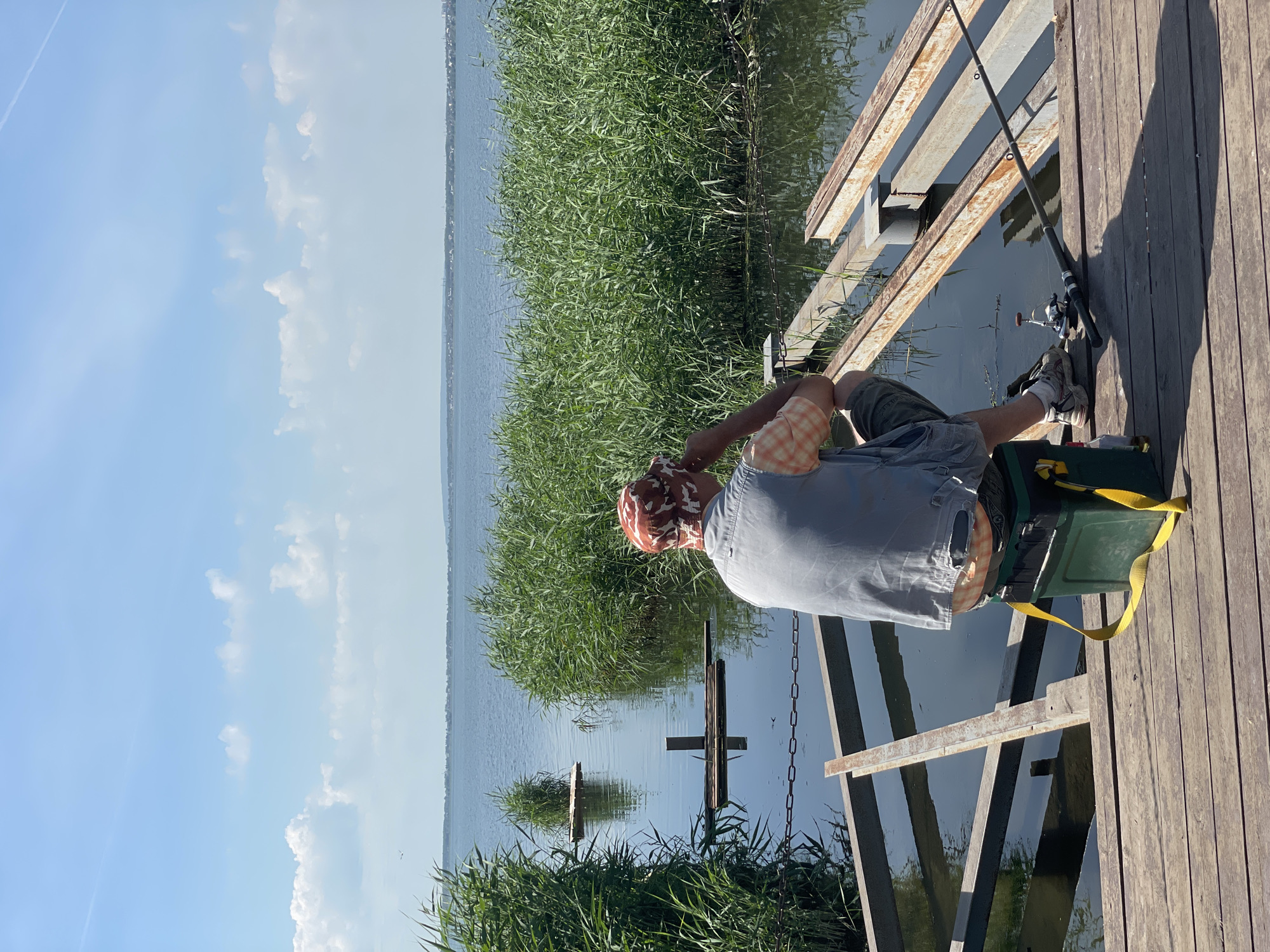 A lone fisherman, seen from behind, sits on a green tackle box on a wooden dock. He wears a camouflage bandana, a plaid shirt, a grey vest, and shorts. His fishing rod rests on the dock beside him. The dock is adjacent to a body of water lined with tall green reeds. In the distance, a town or city can be seen across the water under a partly cloudy blue sky. The scene appears to be set in a rural or semi-rural area.
