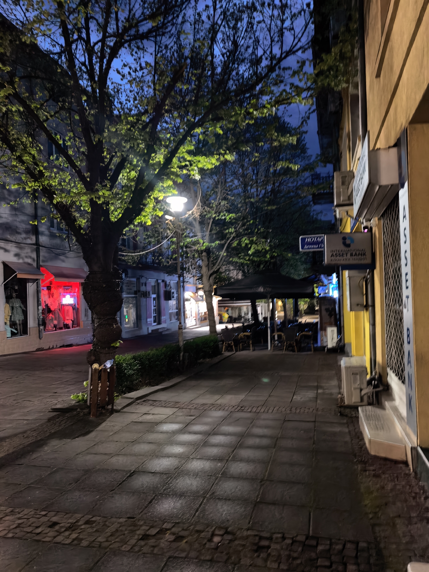 An evening street scene captures a paved sidewalk flanked by commercial buildings and trees, illuminated by streetlights. The dark sky suggests dusk or night.
In the foreground on the left, a large, mature tree with lush green leaves, brightly lit by a nearby streetlamp, stands prominently. Its trunk is thick and gnarly. To its left, the sidewalk features square pavers, transitioning to cobblestones closer to the curb. A small wooden barrier or planter box is visible at the base of the tree.
Moving further down the street on the left, several shopfronts are visible. One shop window is distinctly lit with a vibrant red light, showcasing items inside. Other shops appear to have more subdued lighting.
On the right side of the image, a yellow-painted building houses what appears to be a bank. Several signs are affixed to its exterior. Further along the street, an outdoor seating area under a dark awning with tables and chairs suggests a cafe or restaurant. Another streetlamp casts light onto this area.
Visible text on signs includes:
* "HOTEL" in white letters on a blue sign, with Cyrillic script underneath (partially obscured, possibly "Диннин" or similar).
* "INTERNATIONAL ASSET BANK" in white letters on a blue sign, with additional Cyrillic script below it (e.g., "ПЛОЧНИК ПЛОЩАД").
* Vertical text "ASSET BANK" in white letters on a light blue background, partially visible on the far right side of the yellow building.
* An air conditioning unit and a small white utility box are also attached to the yellow building.
The scene appears quiet, with no people visible, suggesting a calm evening ambiance.