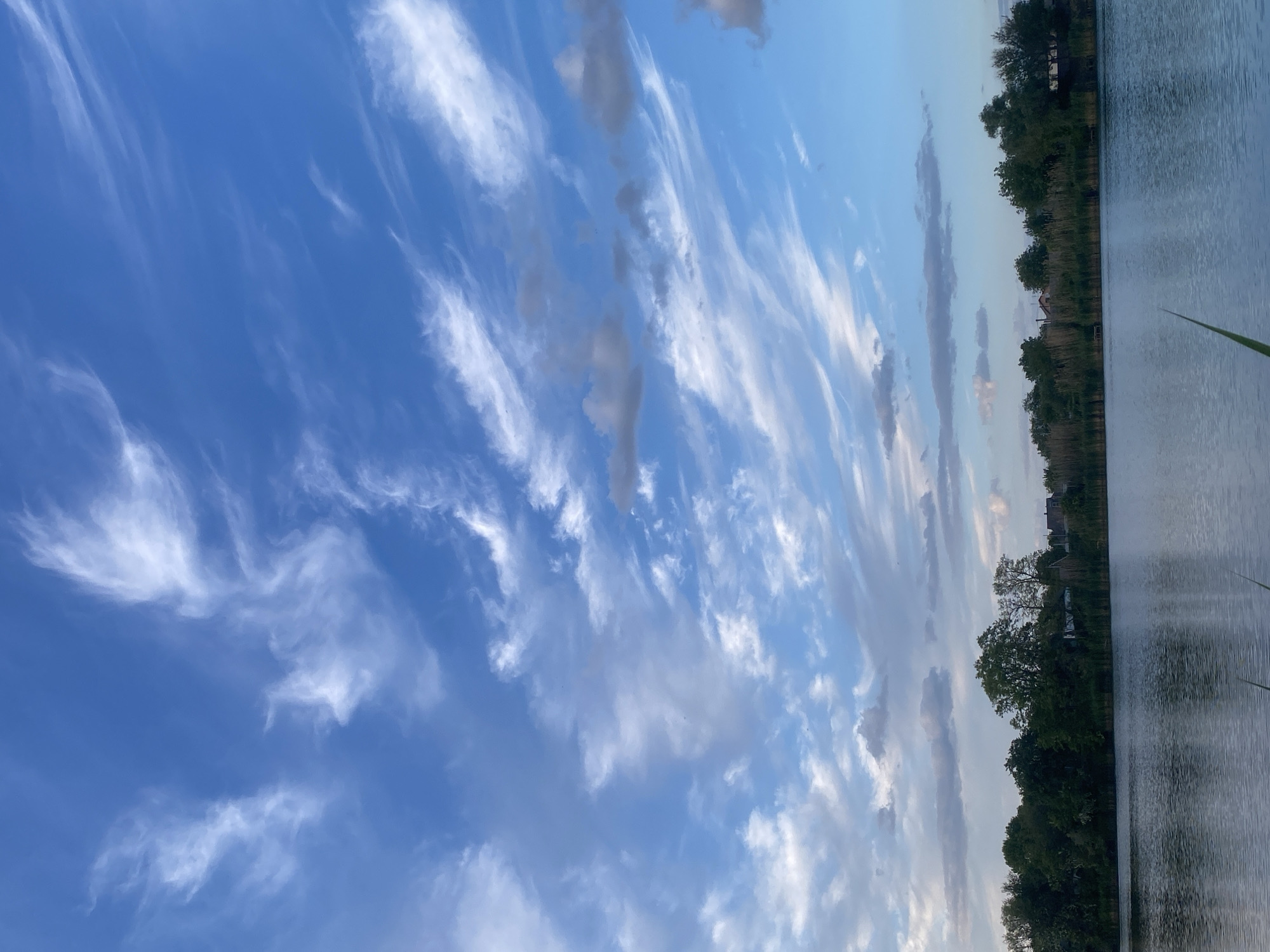 The image shows a body of water, likely a lake or wide river, with a treeline visible on the opposite shore. The sky dominates the frame, filled with cirrus clouds streaking across a blue gradient. The water reflects the sky and treeline, creating a sense of symmetry. There are houses visible behind the treeline. No people are visible. There are also some reeds growing on the right of the image. Given the location of Ustyvytsia, Ukraine, the body of water is most likely connected to one of the nearby river systems, however it is not possible to determine which one.