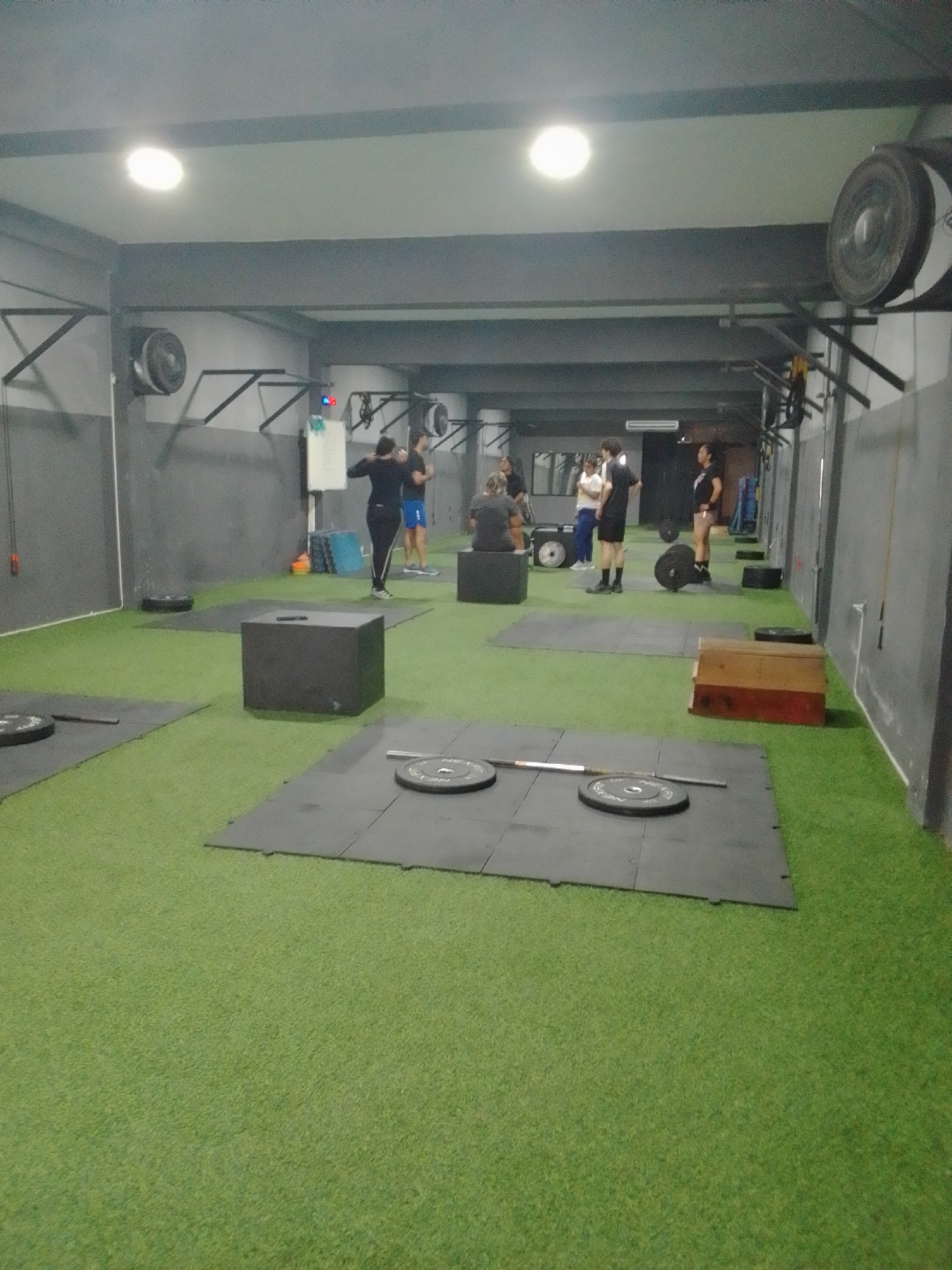 Memory