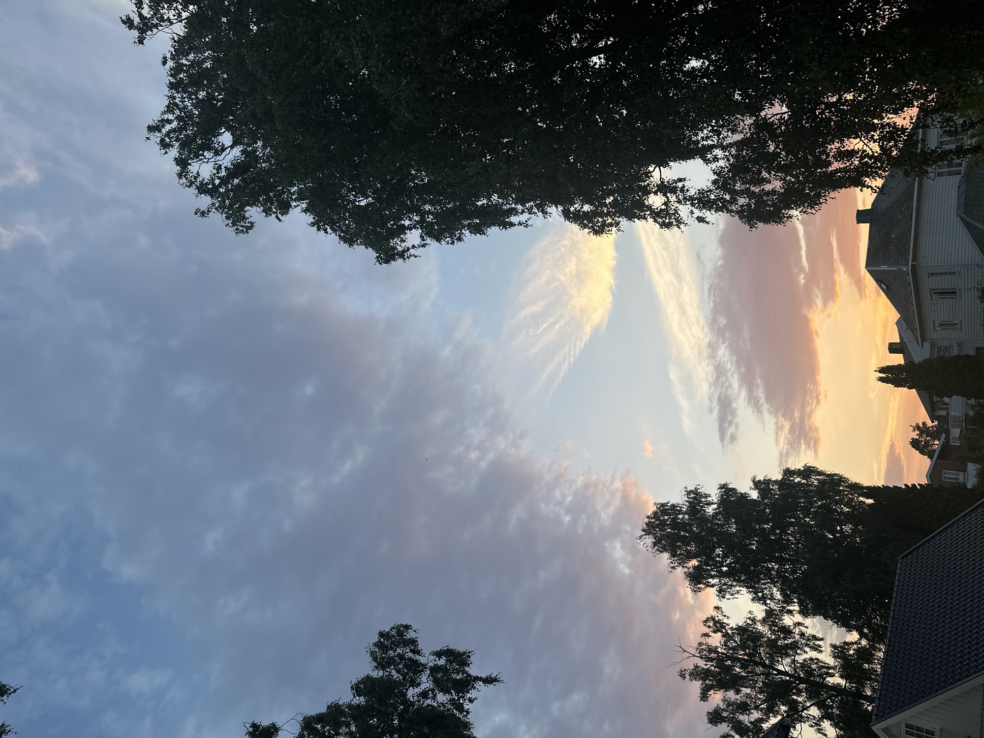 This image captures a suburban residential area during a sunset. The sky is filled with a gradient of colors, from soft blues and grays at the top to warm oranges and pinks near the horizon, with streaks of wispy clouds. Silhouetted against the sky are the dark green canopies of several large trees, framing the scene. In the foreground, the dark-tiled roofs of houses are visible, with some of the house structures showing white wooden siding. Chimneys are present on some of the rooftops. The overall impression is a peaceful evening setting in a neighborhood.