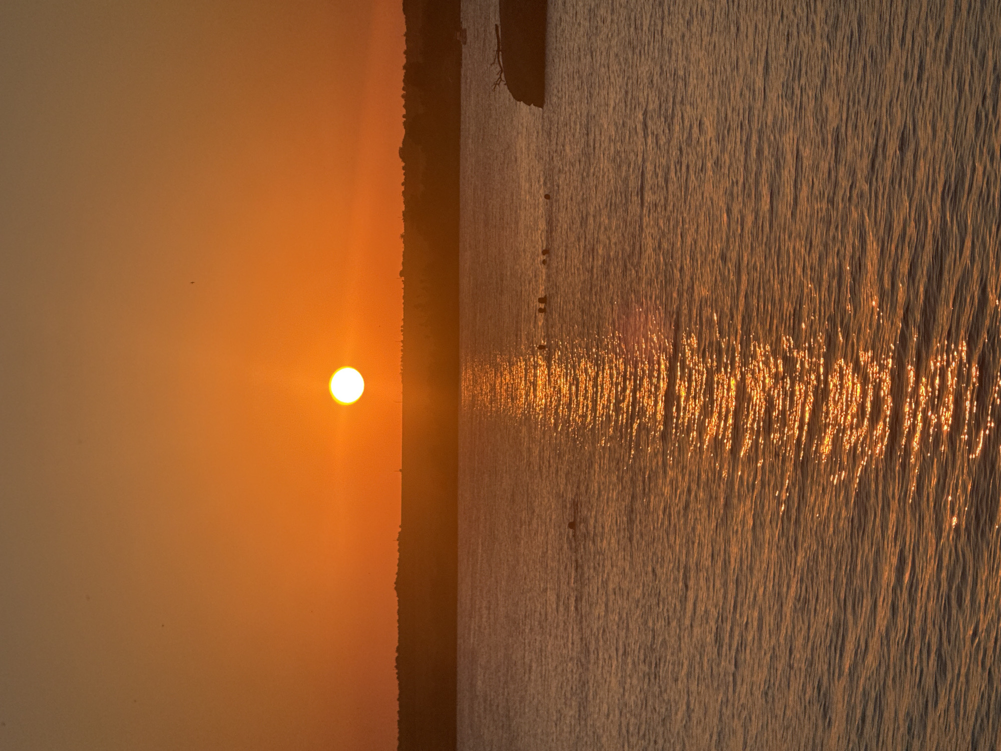 This image captures a serene sunset over the sea in Pomorie, Bulgaria. The sun, a bright orb of orange, is low on the horizon, casting a warm, golden glow across the water. The sky transitions from a deep orange near the horizon to a lighter hue as it ascends. A distant, silhouetted shoreline marks the edge of the land, with faint outlines of trees and structures visible against the vibrant sky.
In the water, a group of people are swimming and enjoying the evening. Their heads and shoulders are visible above the surface, suggesting a relaxed atmosphere of recreation. The sunlight creates a shimmering reflection on the water's surface, accentuating the gentle ripples and waves. To the right, a rocky outcrop with a piece of driftwood protruding from it breaks the smooth expanse of the sea. A small boat is also visible in the distance on the right side of the frame. The overall impression is one of tranquility and natural beauty, characteristic of a coastal sunset in Pomorie.