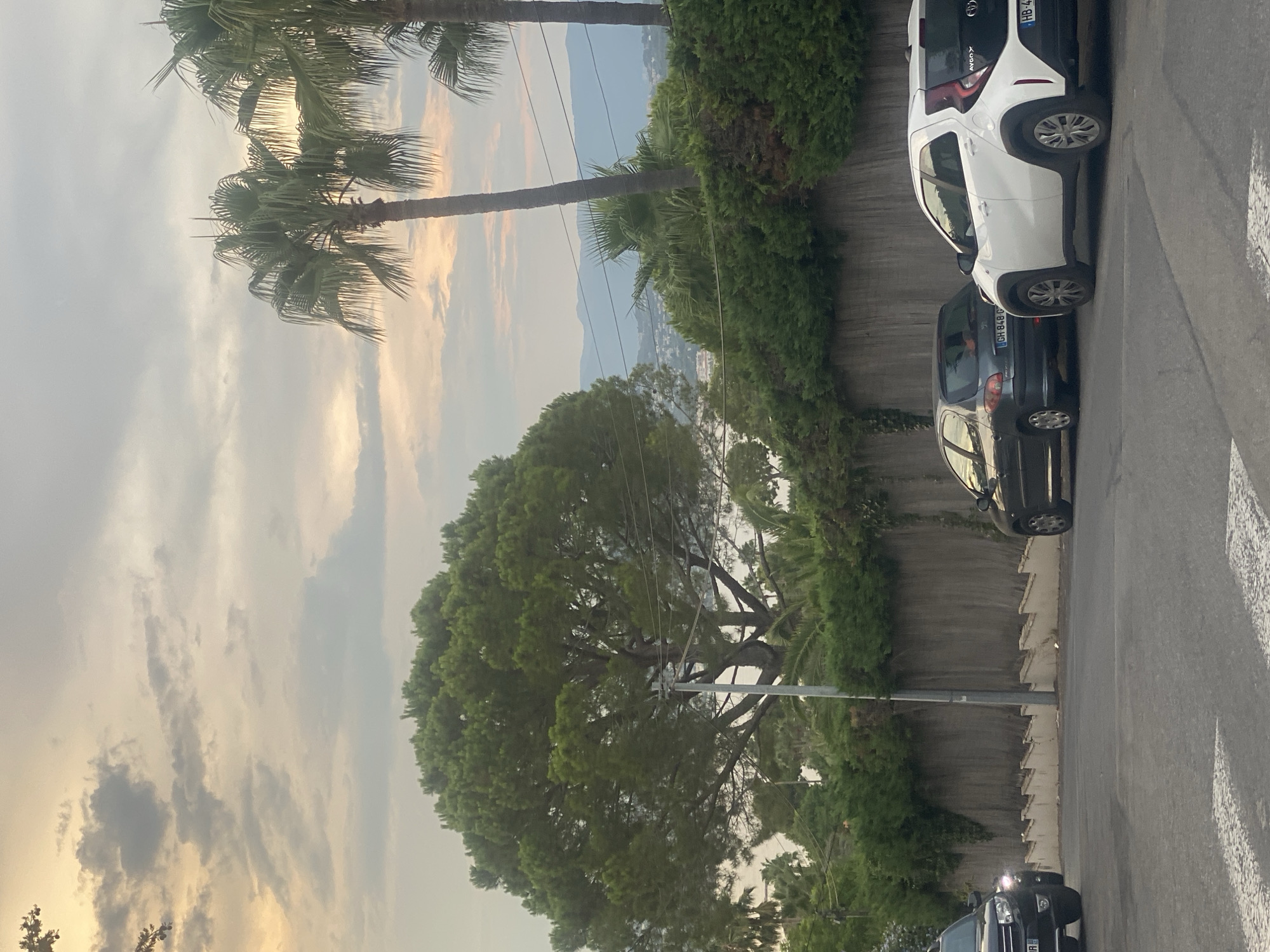 The image shows a street scene in Antibes, France, with a focus on two parked cars on the right side of the road. The cars are a white Toyota Aygo and a dark-colored hatchback, possibly a Peugeot 206. Both vehicles are facing towards the right, parked parallel to a sloped retaining wall topped with dense green foliage. A light pole stands near the center of the image, behind the retaining wall. In the background, there are palm trees, a large pine tree, and a view of distant hills and the sea, suggesting a coastal location. The sky is overcast with patches of light, indicating either early morning or late afternoon. The road in the foreground is asphalt with white pedestrian crossing markings. No people are visible in the image.
