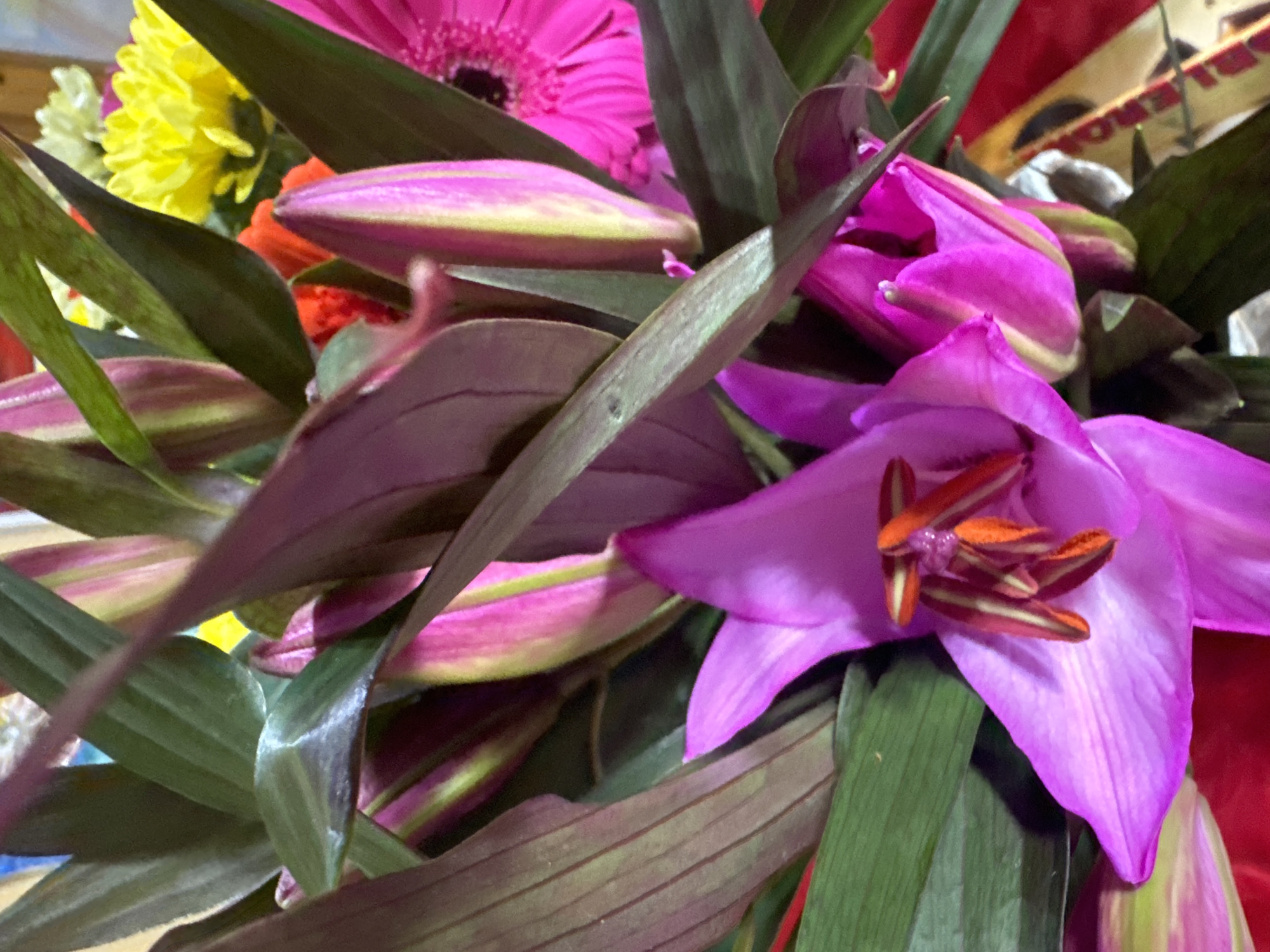 The image shows a close-up of a vibrant floral arrangement. Several different types of flowers and foliage are visible, creating a rich tapestry of color and texture. Prominently featured is a large, fuchsia-colored lily-like flower in the foreground, its petals fanned open to reveal bright orange stamens. Behind it, several unopened buds in shades of pink and yellow are interspersed with dark green, sword-shaped leaves. Further back, a bright yellow chrysanthemum and a hot pink gerbera daisy add pops of contrasting color. The overall impression is one of abundant natural beauty, with the flowers artfully arranged. The background is indistinct but appears to be indoors, possibly a home or a florist shop, as there are hints of wrapping paper or decorative elements on the right side. There is no indication of a specific location in Waterford, Ireland, within the image itself.