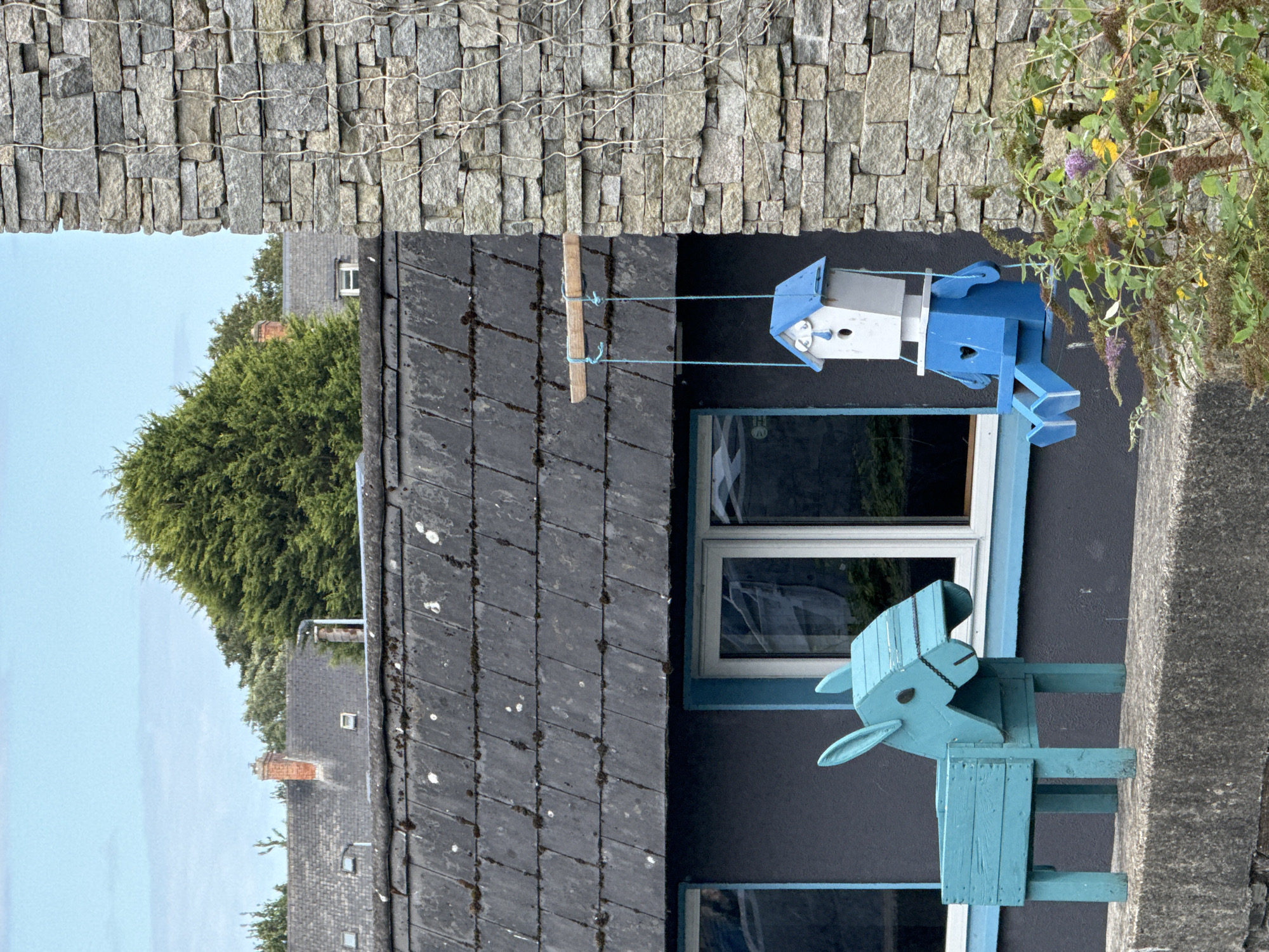 This image depicts an exterior scene in the city of Waterford, Ireland. In the foreground, a turquoise wooden planter shaped like a donkey stands on a stone wall. To the right of the donkey, a whimsical blue and white birdhouse, resembling a person with a heart-shaped cut-out on its body, hangs by ropes from a wooden beam attached to a stone wall. The birdhouse has blue feet dangling and a blue roof with white accents. The building behind the donkey and birdhouse has a dark grey facade and a black slate roof with scattered moss and white spots. Two windows with blue trim are visible. In the background, green trees and the roofs of several houses with chimneys can be seen under a cloudy sky. The stone wall on the right side of the image is covered in dried vines.