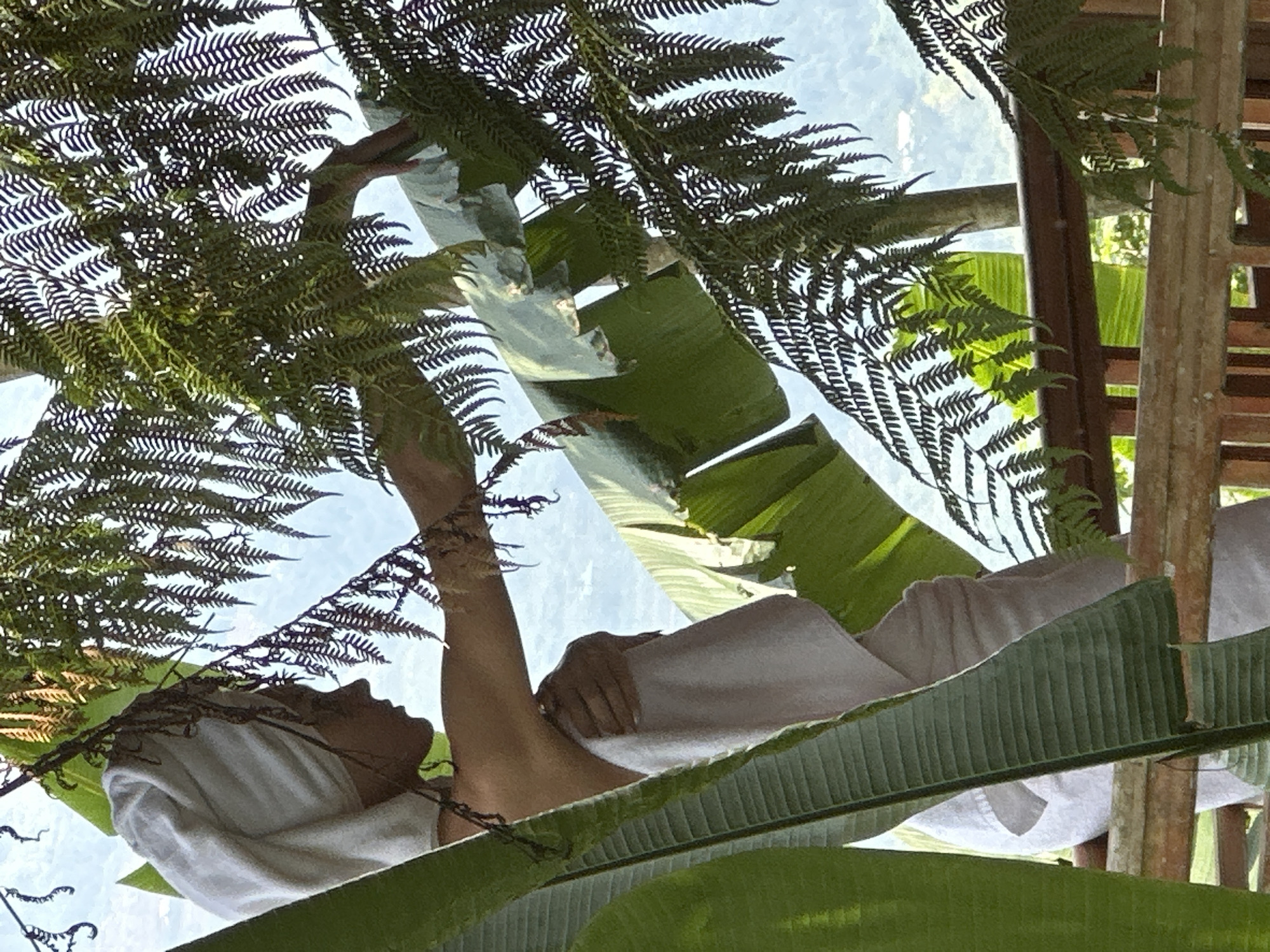 The image, captured from an overhead or unusual angled perspective and rotated, shows a person relaxing in a lush, tropical setting, likely in Thông Nguyên Commune, Vietnam.
A person, likely female, is lying down or reclining comfortably, with her head wrapped in a white towel and her body draped in a white towel or robe. This attire suggests a spa treatment, post-bath relaxation, or simply unwinding. Her arm is gently raised and bent, appearing to rest against the dense foliage.
The scene is dominated by vibrant green tropical vegetation. Delicate fern fronds intricately frame the foreground and upper portions of the image, while large, broad leaves, characteristic of banana plants, add to the dense canopy, partially obscuring the subject. Above and behind the foliage, a bright, hazy blue sky is visible, indicating a sunny daylight environment. To the right, wooden architectural elements, including vertical posts and horizontal slats, suggest an open-air structure like a balcony or a rustic retreat, blending seamlessly with the natural surroundings.
The overall impression is one of deep relaxation and tranquility, set amidst nature's embrace. There is no visible text in the image.