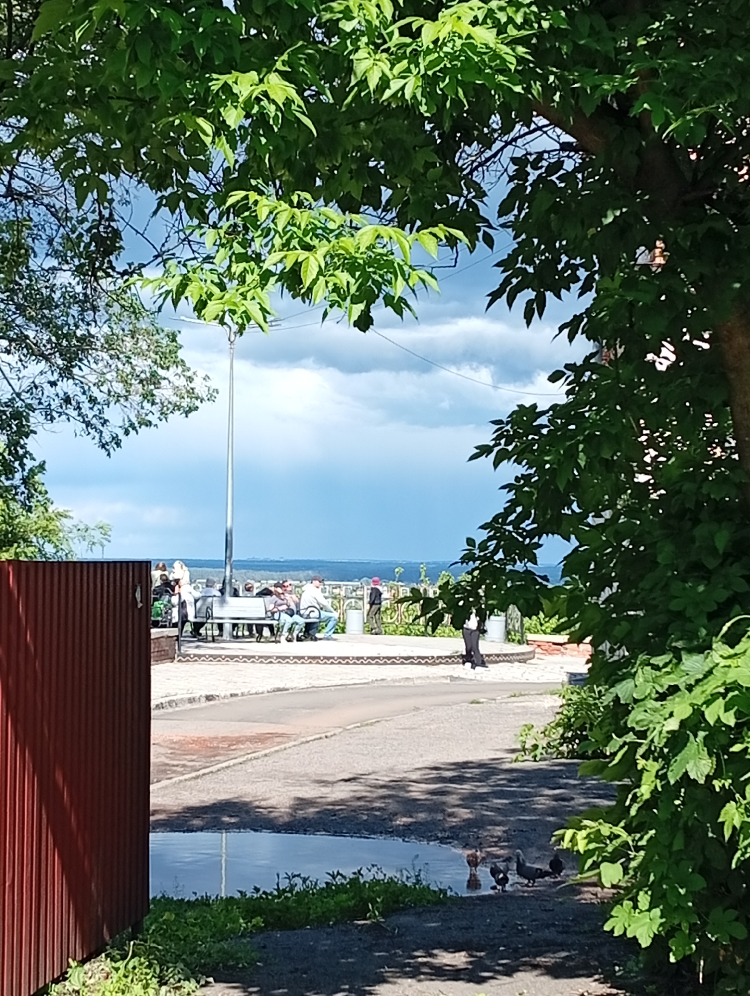 The image shows a partially obscured view of a public space in Poltava, Ukraine. In the background, people are sitting on benches near a viewpoint, possibly overlooking a river or valley. A tall lamppost stands nearby. A red corrugated metal fence is visible to the left. A paved road curves around the benches. In the foreground, a puddle reflects the sky. Several pigeons are standing near the puddle. Trees with green leaves frame the upper and right sides of the image. The sky is cloudy.