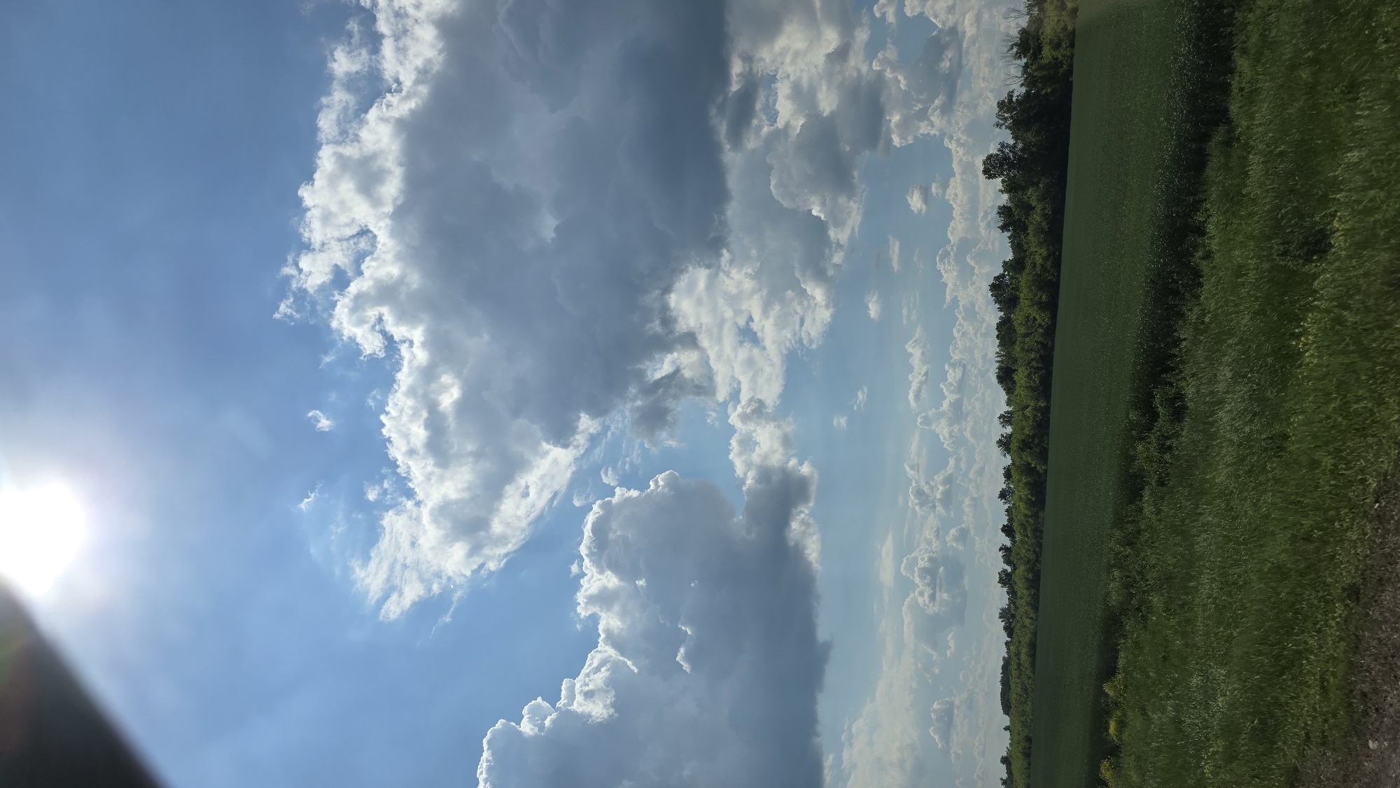 A vertical, low-angle shot captures a sunlit sky filled with dramatic, voluminous clouds, casting shadows on a lush green landscape. The bright sun, partially obscured by the edge of the frame and sun rays, dominates the upper left portion of the image. The sky transitions from a brilliant blue at the top to a lighter hue near the horizon, where a dense line of green trees forms a backdrop for a vast, verdant field. In the foreground, tall green grass, some bending in the wind, covers the lower part of the image, with a strip of gravel or dirt visible at the very bottom. The scene is devoid of people or any man-made structures, presenting a natural, serene environment.