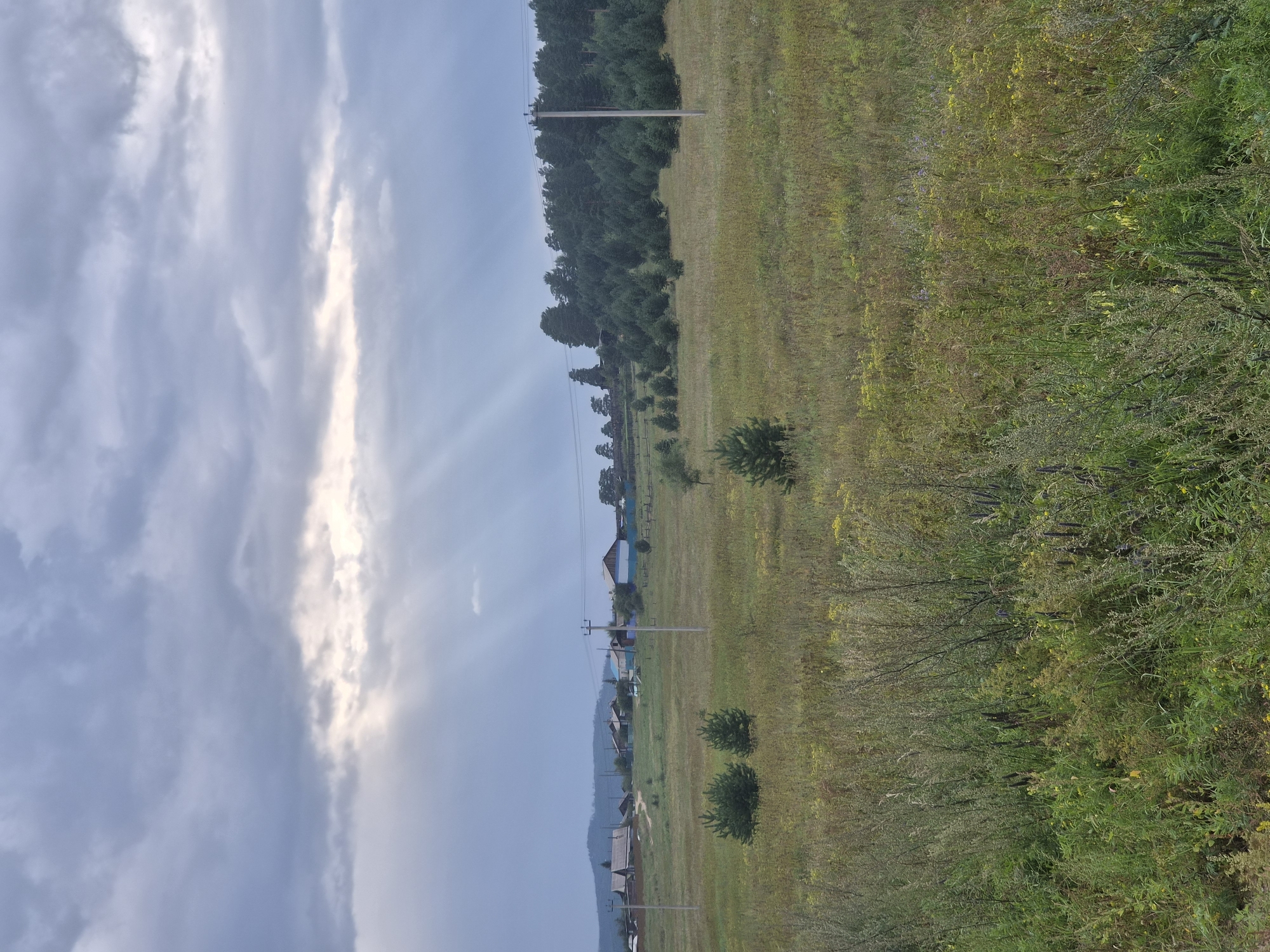 The image depicts a rural landscape in Balyaga, Russia, characterized by a vast, overgrown meadow under a dramatic, cloudy sky. Sunlight streams through breaks in the clouds, creating visible rays of light that illuminate the scene. In the distance, a small village with houses and wooden fences is nestled amongst trees. Several utility poles with wires are visible, indicating the presence of infrastructure. The foreground is dominated by tall, uncultivated grasses and wildflowers, with a few small evergreen trees scattered throughout the meadow. The overall atmosphere is serene and natural, suggesting a remote and undeveloped area.
