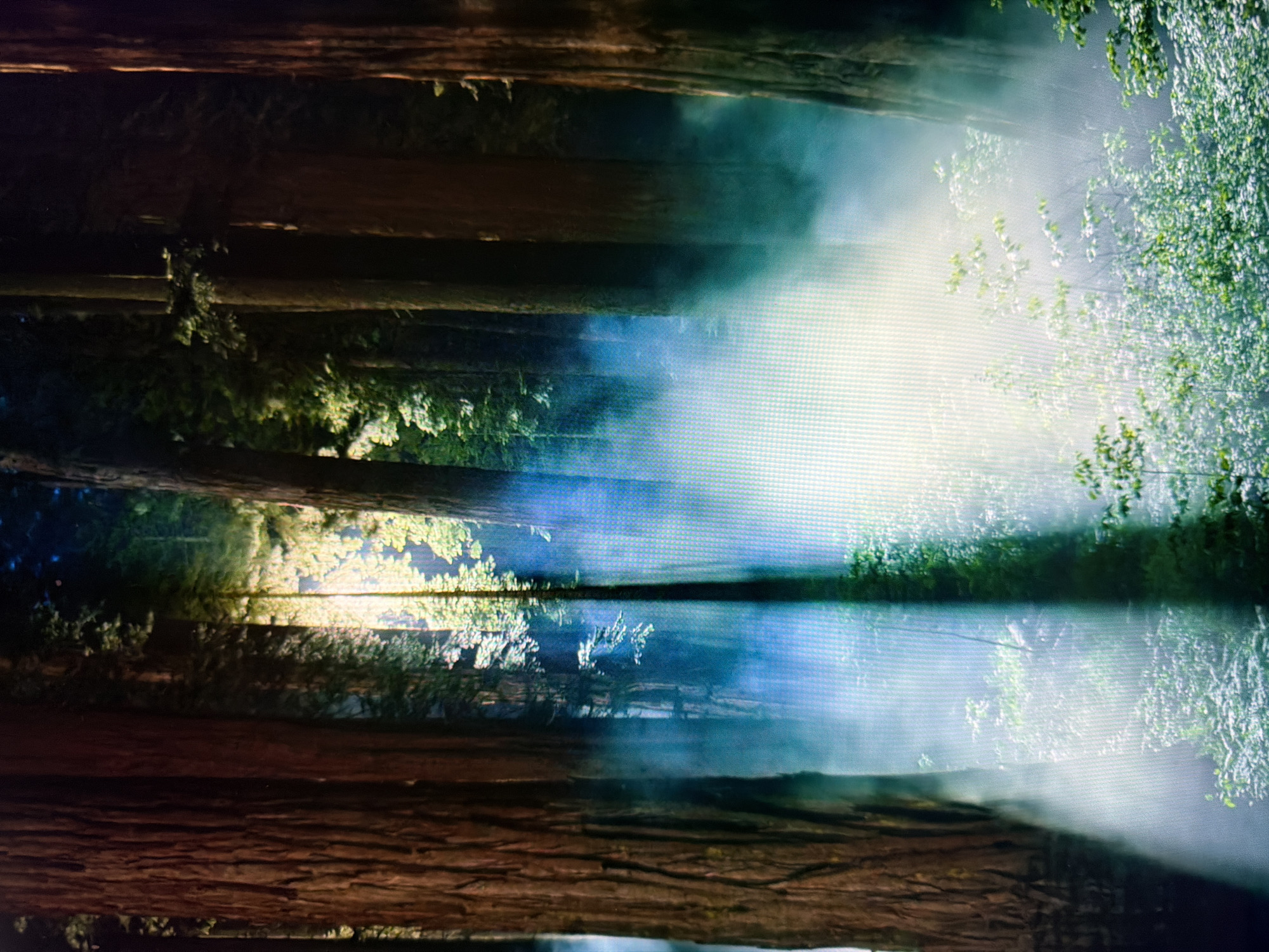The image shows a dense forest with tall trees. Sunlight filters through the canopy, creating beams of light that illuminate a mist or fog rising from the forest floor. The ground is covered with lush green undergrowth. The overall atmosphere is serene and mystical. There are no people or man-made structures visible in the image. The image does not depict any location in the city of Kyiv, Ukraine.