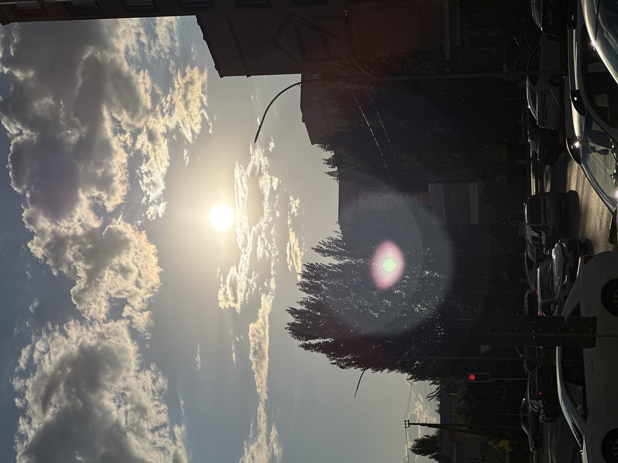 The image depicts a street scene in Kokshetau, Kazakhstan, during daylight hours, likely late afternoon due to the low angle of the sun. The sun is prominently featured in the upper-center of the frame, partially obscured by a scattering of clouds that exhibit iridescent colors, suggesting atmospheric conditions that can produce sundogs or light pillars. The sky is a pale blue with a bright, diffused light source.
In the foreground, a street with multiple lanes of traffic is visible. Several cars are present, some in motion and others stationary, indicating a traffic intersection or congestion. The cars are diverse in make and model, with at least one white sedan in the immediate foreground. A traffic light shows a red signal. Tall, dark trees line the right side of the street, casting shadows. Beyond the trees, the facades of multi-story buildings are visible, with architectural details suggesting residential or commercial structures. One building on the far right is a dark brick structure with visible windows. A street lamp with a curved arm is also present.
The overall impression is a moderately urban environment experiencing bright sunlight with visible atmospheric phenomena. No people are clearly discernible in the image. The image quality is affected by lens flare, particularly a bright, circular pink and green flare near the center-left of the frame, caused by the sun's light interacting with the camera lens. The scene is illuminated by natural sunlight, which creates contrasts and highlights on the vehicles and buildings.