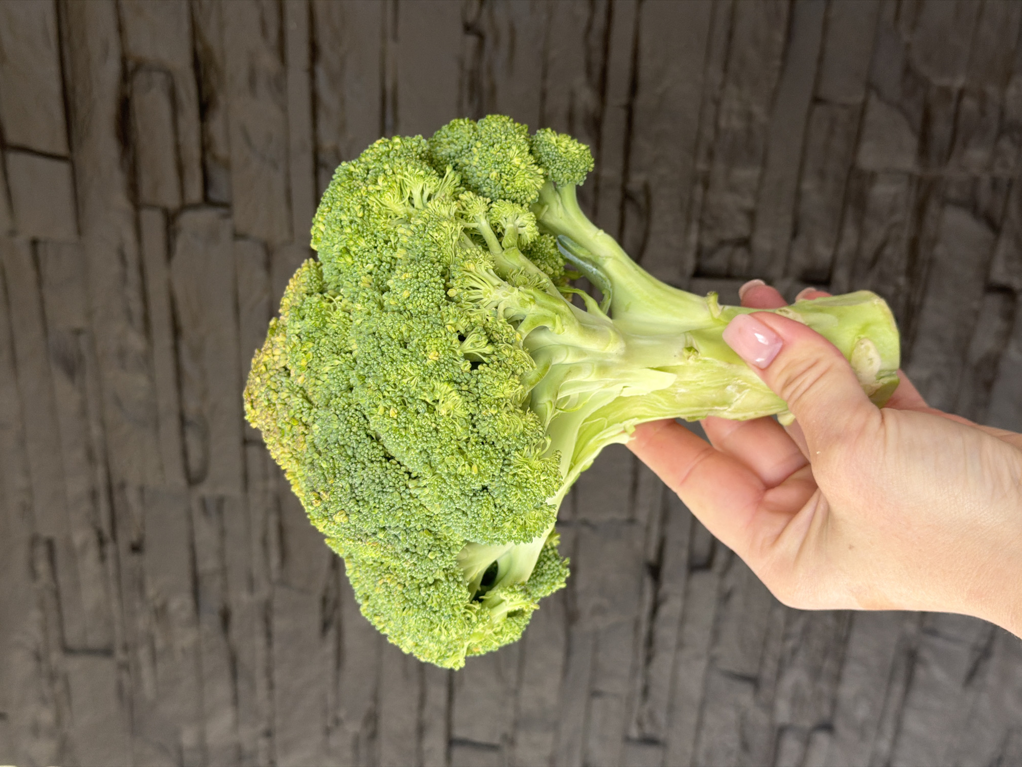 A person is holding a head of broccoli in their hand. The background is a dark gray wall that looks like it is made of stone or textured tiles. This photo was taken in Dreiliņi, Latvia.