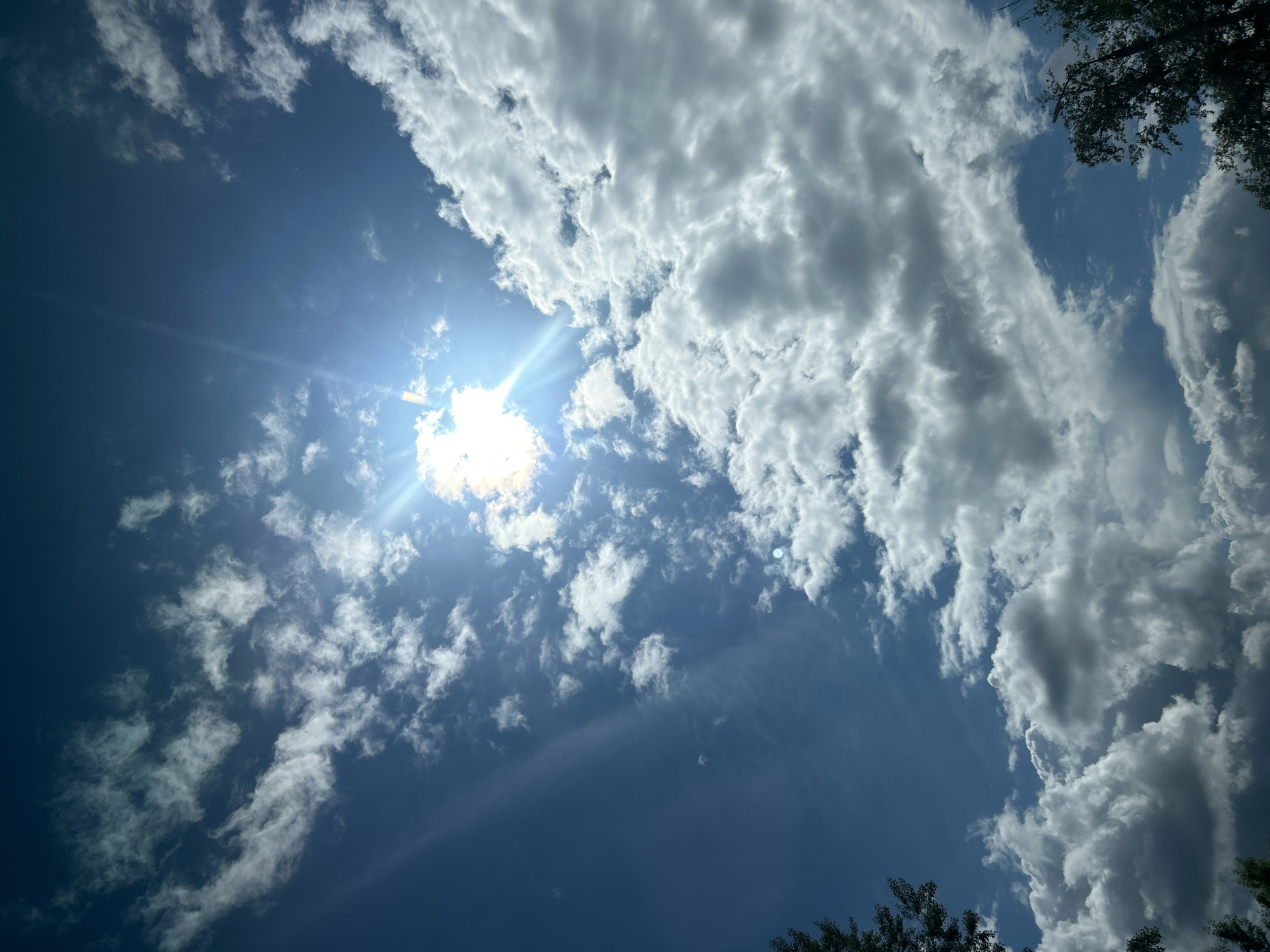 The image shows a sky with a bright sun partially obscured by clouds. The sky transitions from a dark blue at the bottom to a lighter blue higher up, with varying amounts of clouds. There are cumulus clouds visible, with some large formations. The sun is creating a starburst effect. Green foliage from trees appears at the top right and bottom of the frame. There is no information in the image to determine its location in the city of Chaikovsky, Russia.