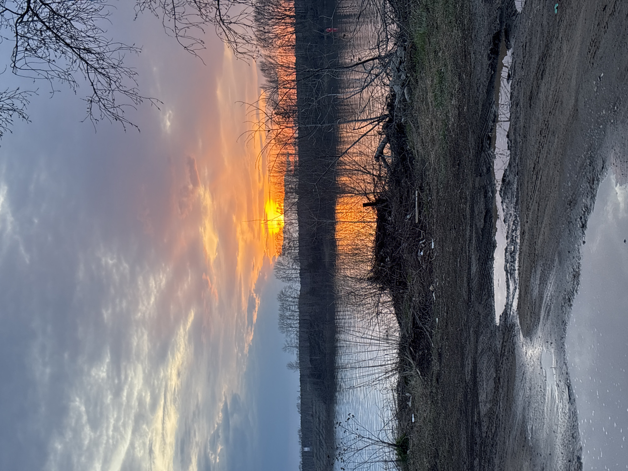 The image shows a sunset scene near a body of water, possibly in the city of Chaikovsky, Russia. The sky transitions from gray clouds to an orange and yellow horizon. Bare trees line the opposite bank of the water, reflecting the sunset. On the right side of the image, a muddy path or shoreline is visible, with puddles reflecting the sky. The scene is devoid of people or apparent activity, focusing on the natural landscape at dusk.