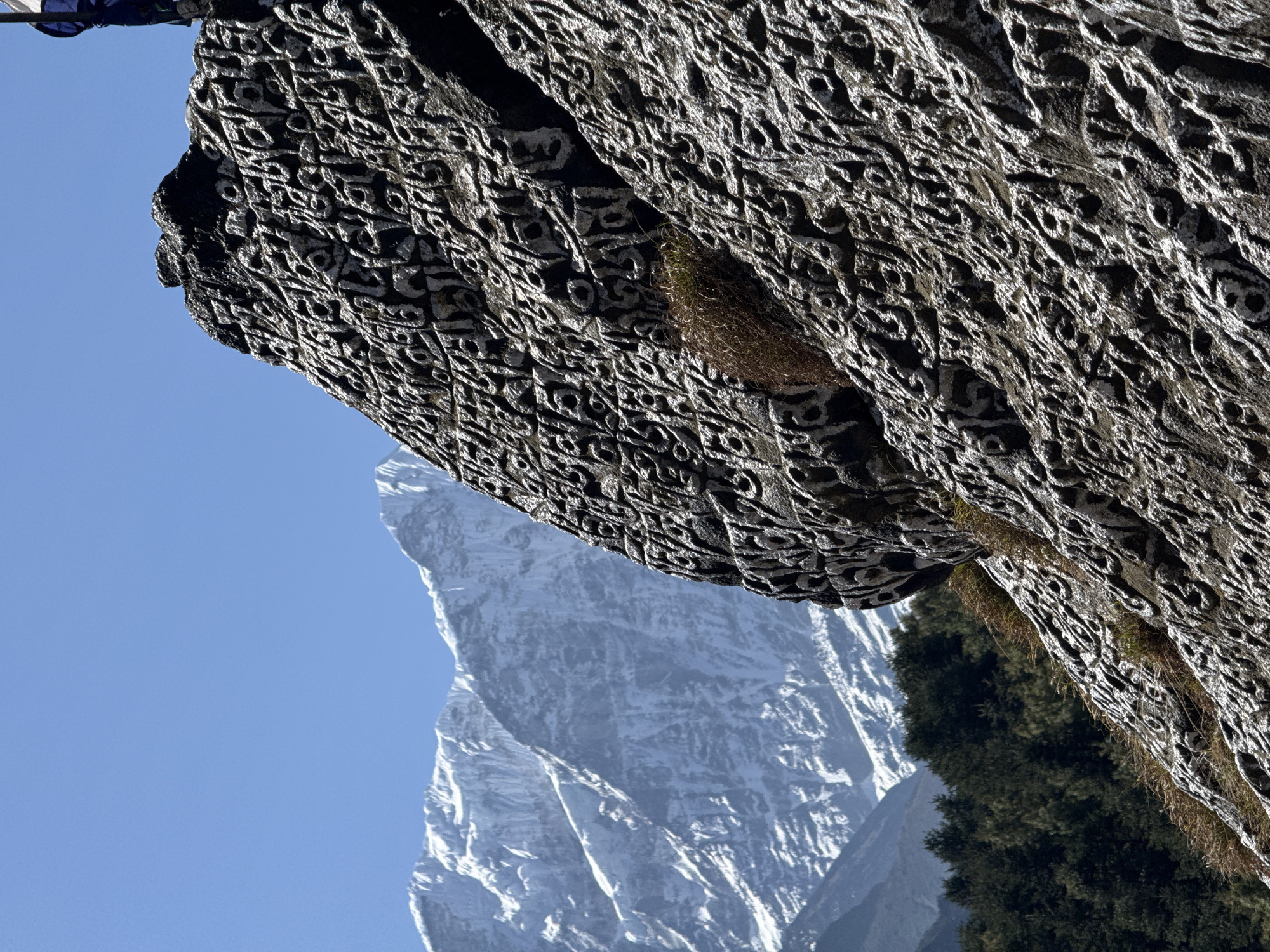 The image shows a large, carved Mani stone rock face with Tibetan script, likely located in the mountains of Namche, Nepal. A snow-capped mountain peak is visible in the background under a clear blue sky. Patches of green vegetation are growing on the stone surface. A dark green tree is seen in the foreground. The image is rotated counter-clockwise.