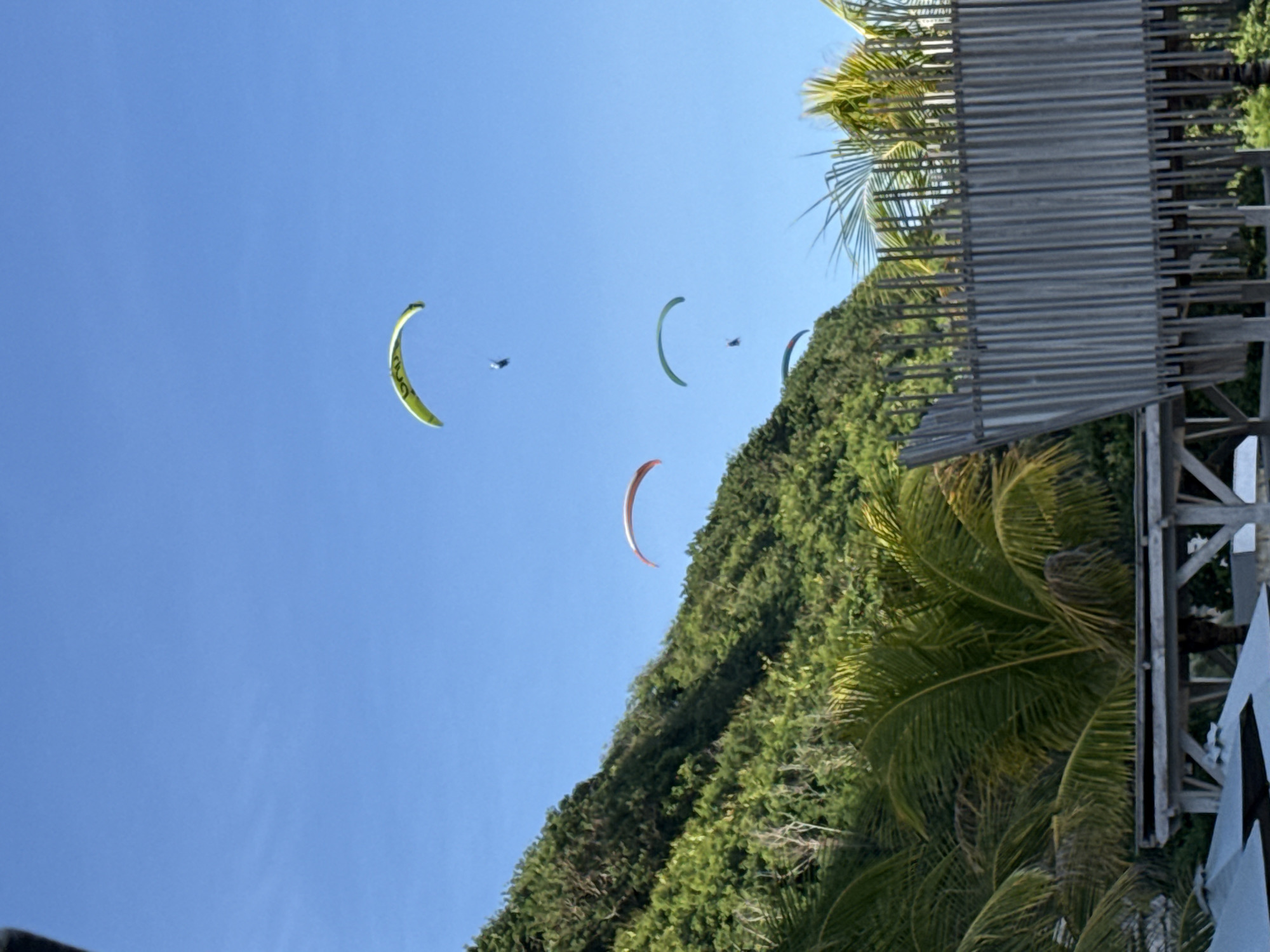 The image depicts a partially obstructed view of the sky with paragliders in flight. The sky is clear and blue. There are four paragliders visible, each with a different color canopy: yellow, green, red, and another indistinct green. Some structures, possibly parts of a building or viewing platform, are visible on the right-hand side, consisting of gray metal railings or siding. A lush green hillside covered with dense vegetation and palm trees borders the bottom right and top right corner. The scene is most likely located in Kuta Selatan, Indonesia, as that is the location well known for paragliding due to its coastal cliffs and consistent winds.