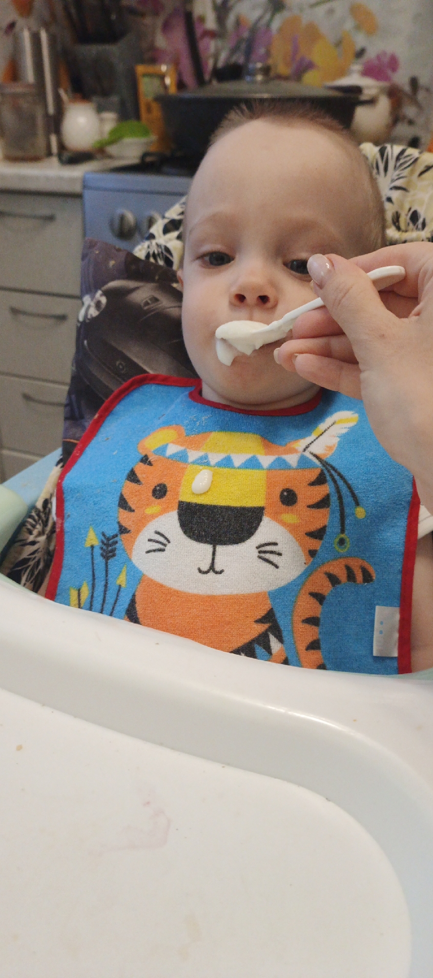 A baby sits in a white high chair, wearing a blue bib with a cartoon tiger design. A hand holds a spoon filled with white food towards the baby's mouth. The scene is indoors with kitchen cabinets and various kitchenware visible in the background. The location is Chaikovsky, Russia, as implied by additional instructions.