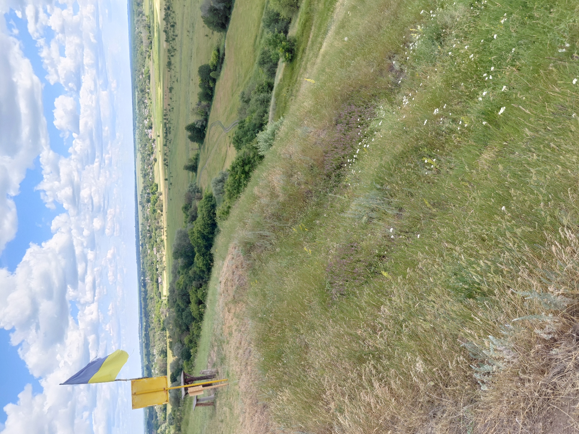 The image depicts a scenic view of the Ukrainian countryside near Ustyvytsia, Ukraine. In the foreground, a steep, grassy slope is covered in tall, dry and green grass, with some small white and purple wildflowers scattered throughout. To the left, a wooden bench is situated next to a yellow signpost with a Ukrainian flag flying above it. The flag's blue and yellow colors are prominent against the sky.
Beyond the slope, the landscape unfolds into rolling green fields and scattered trees, with a village nestled in the distance. A winding dirt track is visible traversing the fields. The sky is a vibrant blue, dotted with fluffy white clouds. The overall impression is one of rural tranquility and natural beauty.