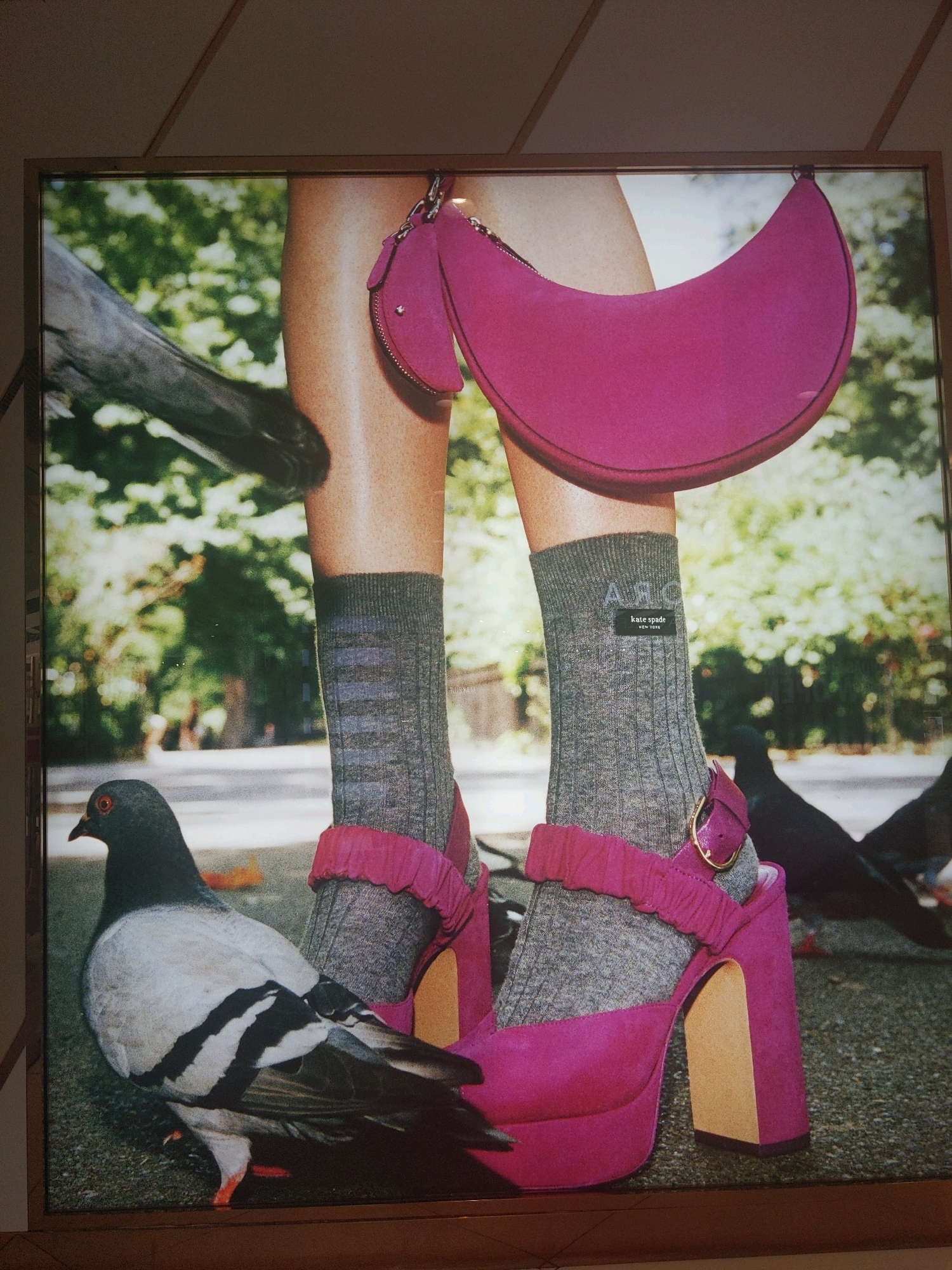 The image is a framed, large-format photograph featuring a close-up view of a person's legs adorned with pink platform high-heeled shoes and grey ribbed socks. The socks have a small black label that reads "KATE SPADE NEW YORK". The person is standing on a paved surface with scattered pebbles, likely an outdoor urban setting. In the foreground, a pigeon with grey and white plumage and bright orange eyes is standing to the left. In the background, out-of-focus green foliage suggests trees, and other pigeons are visible. A vibrant pink crescent-shaped handbag is attached to the person's belt loop, partially obscuring the upper thigh. The overall impression is a fashion advertisement or editorial photograph. The location is not identifiable as Kota Kinabalu, Malaysia, or any other specific city.