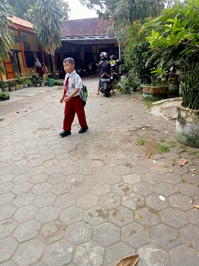 Memory