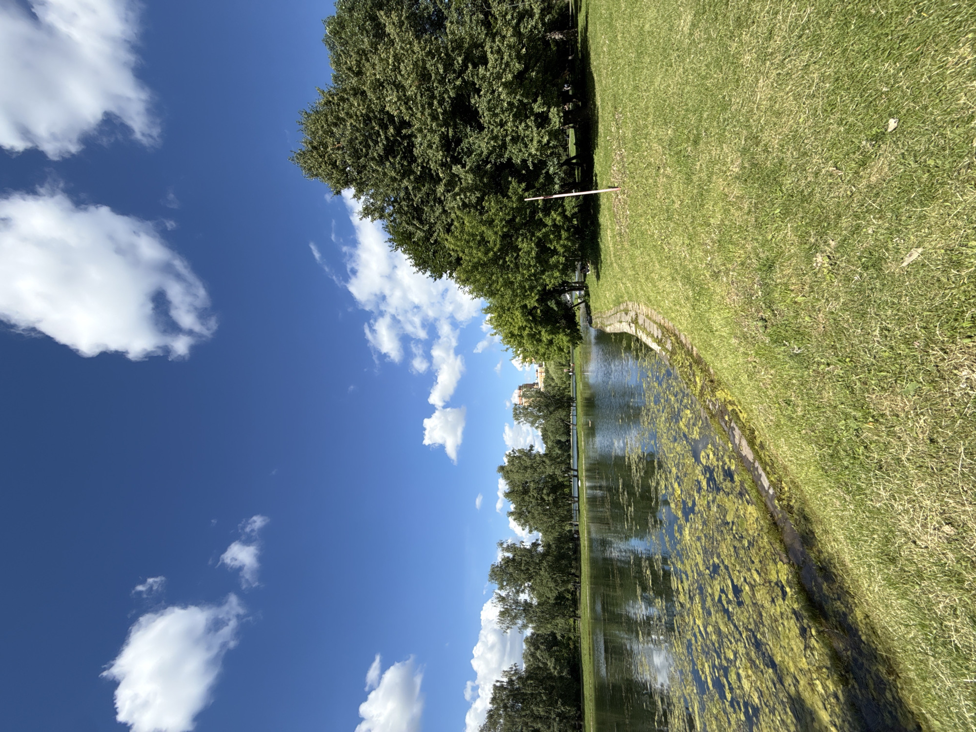 The image depicts a tranquil park scene in Moscow, Russia, likely during daytime with clear skies and scattered white clouds. A body of water, partially covered with green algae, occupies the left side of the frame. The water's edge is lined with a stone embankment and lush green grass. A cluster of large, mature trees dominates the right side of the image, casting shadows on the manicured lawn. In the background, across the water, a line of smaller trees forms a natural boundary, with a glimpse of a building peeking through them. The overall atmosphere is one of natural beauty and serenity, characteristic of a city park.