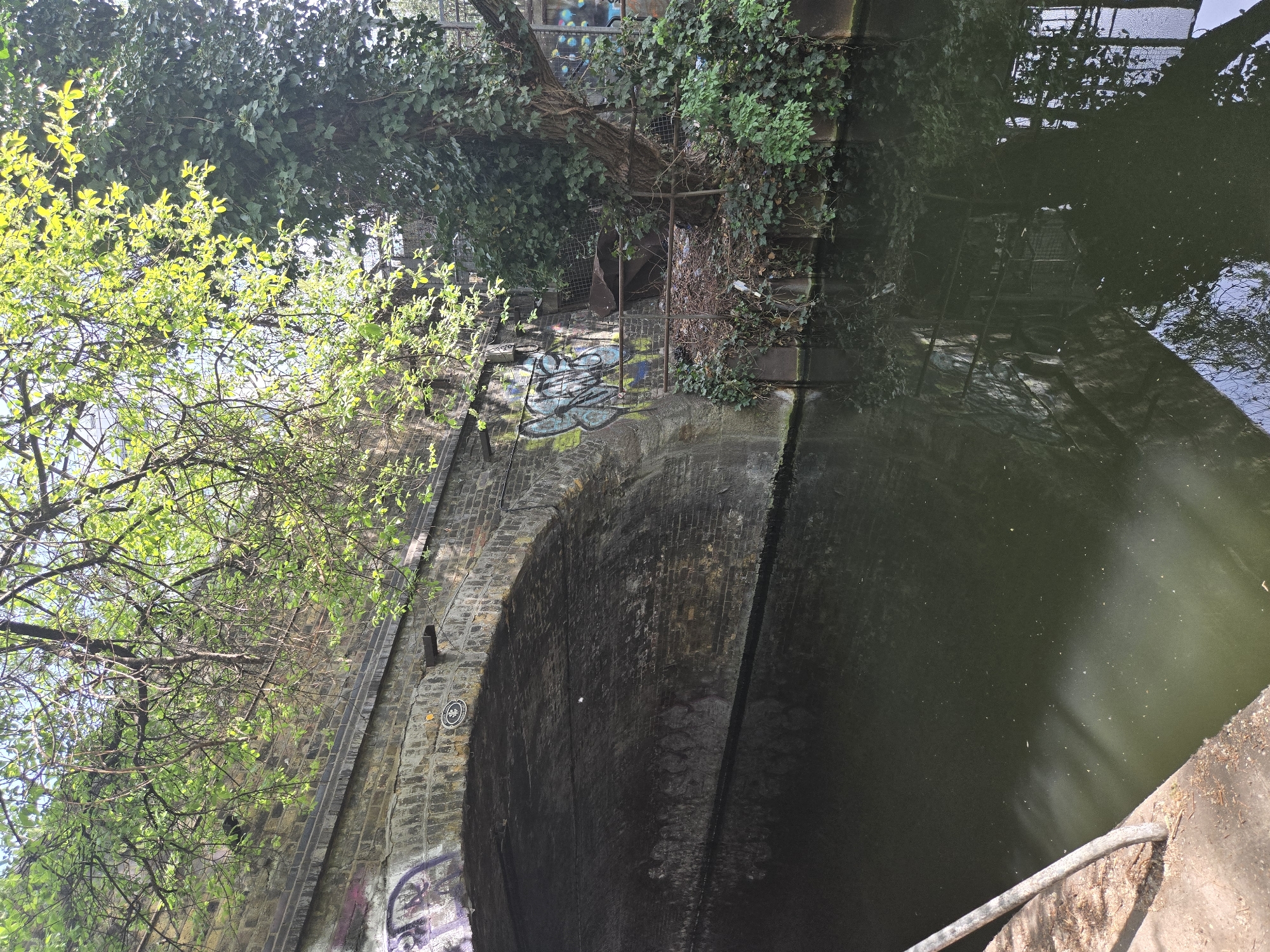 This image captures a canal scene in London, United Kingdom, featuring a brick archway or bridge. The perspective looks along the canal, with the arch spanning from left to right.
The dark, still water of the canal occupies the lower half and right side of the frame, showing reflections of the sky and overhead structures. Small specks of debris float on its surface. A concrete towpath or bank with a thick rope runs along the bottom right edge.
The main subject is a sturdy, dark brick archway that passes over the canal. The brickwork displays a mix of grey and dark tones, indicating age. Patches of graffiti in blue, white, purple, and pink hues are visible on the lower section of the bridge wall and further up. On the right side of the arch, a small circular plaque or emblem is affixed to the brickwork.
Lush green vegetation frames the scene. On the left, a tree with bright, vibrant green leaves is prominent, illuminated by sunlight filtering through its canopy. Denser, darker green ivy heavily covers the upper sections of the bridge structure and the right bank above the canal. A large tree trunk, thick with ivy, extends over the bridge wall on the right, intertwined with what appears to be metal fencing and other overgrown elements, suggesting a somewhat derelict or untended area. Debris and dried leaves are visible amongst the ivy and metalwork.
The scene is brightly lit, suggesting a clear day, with sunlight creating dappled patterns on the water and highlighting the fresh leaves. No people or specific activities are visible, presenting a serene yet slightly urban-gritty landscape. The visible graffiti is abstract and not legible as specific words.