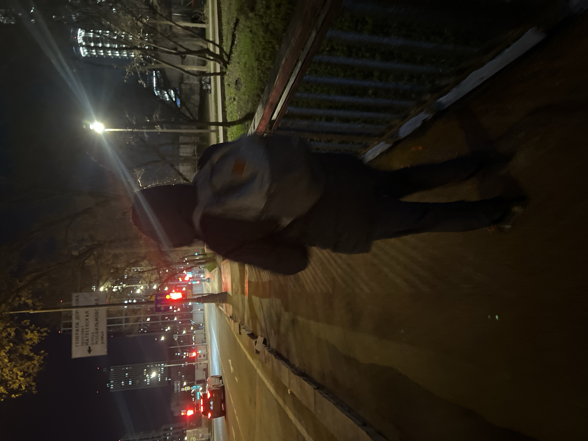 The media file captures a nighttime urban street scene in Khimki, Russia. The image is a portrait view, showing a street with active traffic.
In the foreground on the right side of the frame, a person is standing or walking on a sidewalk, appearing somewhat blurred, suggesting motion or low-light conditions. They are dressed in dark clothing, including what appears to be a jacket or hoodie and dark pants.
To the left of the person is a multi-lane road, illuminated by several bright streetlights that create noticeable light flares and streaks across the image. The red taillights of cars are visible in the mid-ground, indicating ongoing traffic. Buildings with illuminated windows can be seen in the background, contributing to the urban setting.
Along the left edge of the road, a street sign written in Cyrillic text is clearly visible. The text reads: "ГЕНЕРАЛА ДОРОХОВА" (Generala Dorokhova), "ПРОСПЕКТ МАТВЕЕВСКАЯ УЛИЦА" (Prospekt Matveevskaya Ulitsa) with an arrow pointing left, and "МОСФИЛЬМОВСКАЯ УЛИЦА" (Mosfilmovskaya Ulitsa).
Bare trees line sections of the sidewalk and the opposite side of the road, their dark branches silhouetted against the ambient light. A metal fence or barrier is visible between the sidewalk and a grassy area further to the right of the person. The overall lighting is artificial, dominated by streetlights and vehicle lights, characteristic of a city at night.