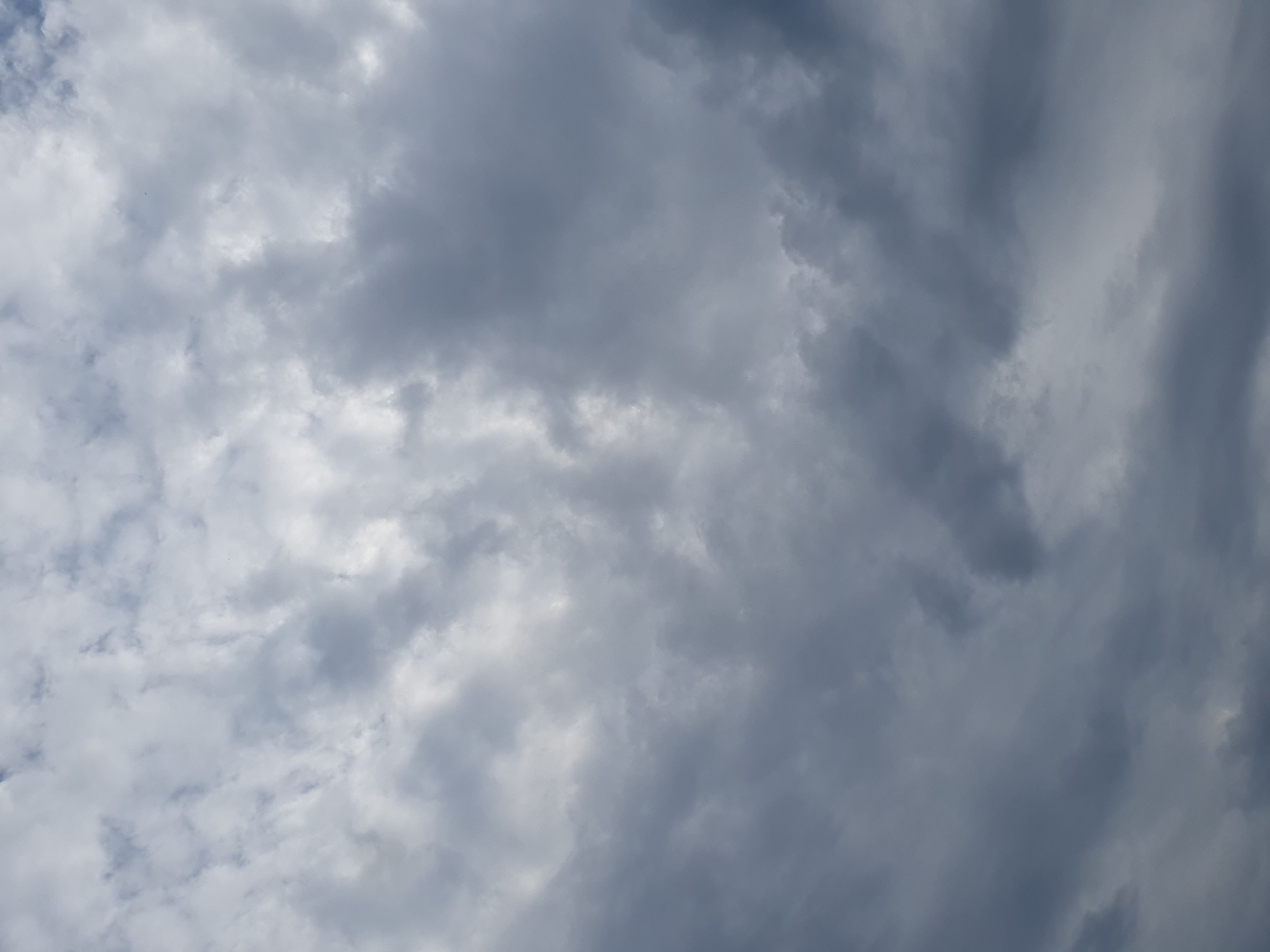 The image is a close-up, low-angle shot of a cloudy sky. The clouds are predominantly gray, with some lighter, wispy formations interspersed. The lighting suggests an overcast day, likely in the afternoon or early evening, given the muted tones. There are no discernable landmarks, buildings, or any other features that would suggest a specific location within the city of Samara, Russia, or any other geographical area. The focus is entirely on the atmospheric conditions.