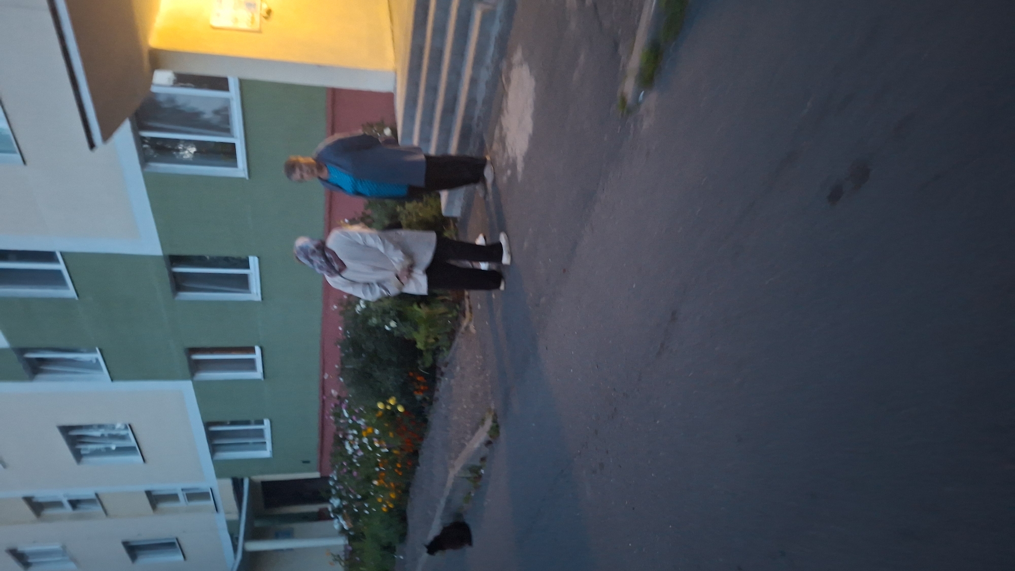 The image depicts an outdoor scene in front of a multi-story building in Myadzyel, Belarus. Two adult females are standing on the pavement. One female, wearing a light-colored hijab and a light-colored top with dark pants and light-colored shoes, is facing away from the camera with her hands behind her back. The other female, wearing a blue top and dark pants, is facing the first female. To the left, a black cat is seated on the curb near a flower bed. The building has a light-colored facade on the upper floors and a green section on the lower floors. A stairway leading to an entrance is visible on the right side of the image, illuminated by warm light. The ground in the foreground is asphalt.