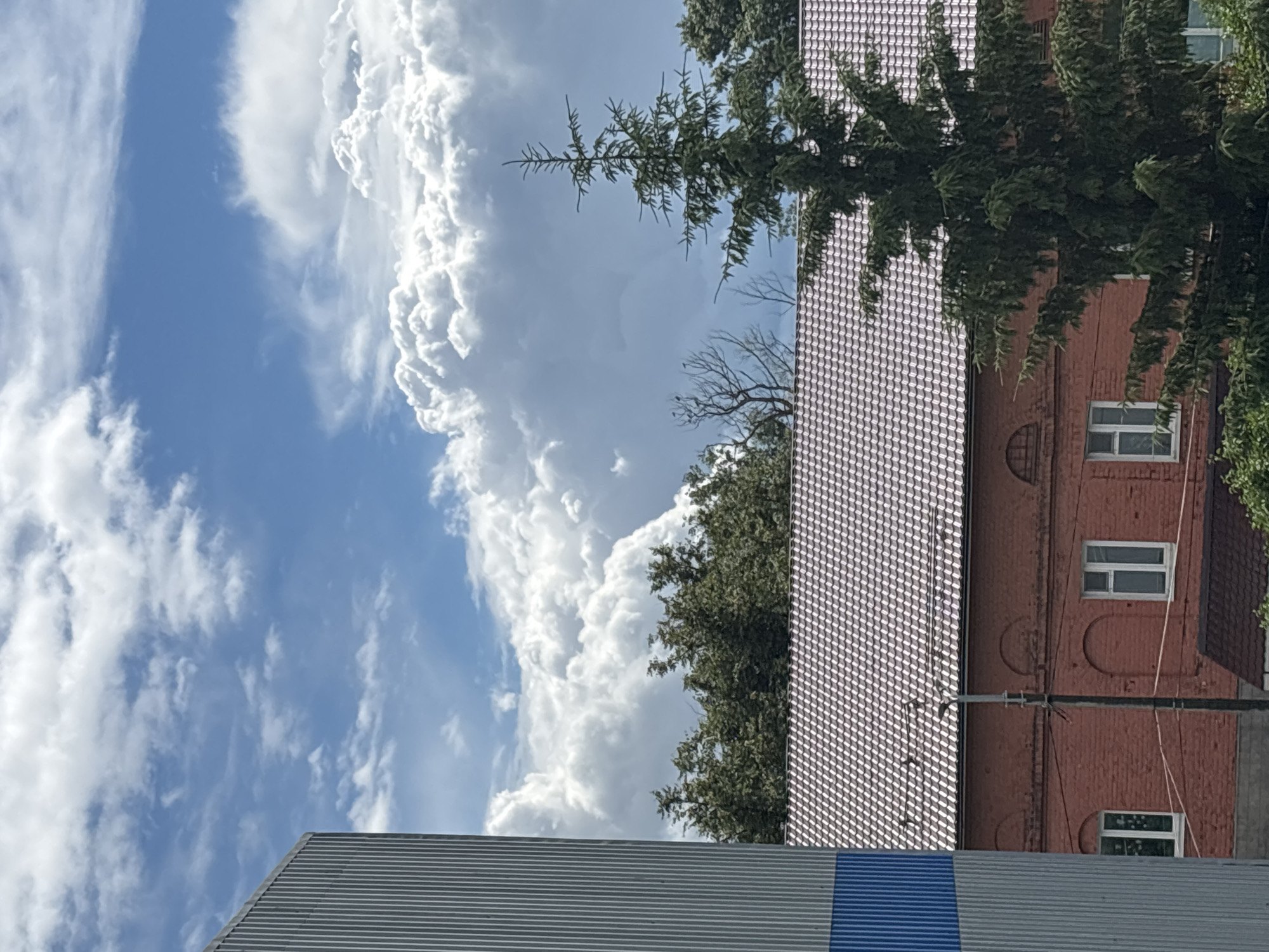 A photograph taken from a low-angle perspective captures a brick building with a tiled roof under a partly cloudy blue sky in Ostrov, Russia. A portion of a ribbed metal siding structure is visible on the left side of the frame, partially obscuring the view of the building. The building itself is a single-story brick structure with multiple windows. The roof is covered in small, light-colored tiles. In the foreground, a tall evergreen tree stands to the right of the building, its branches reaching upwards. Behind the building and the tree, a dense line of deciduous trees is visible. The sky above is filled with dramatic, bright white clouds, some of which appear to be cumulus formations, suggesting a dynamic weather system. The scene appears to be set during daylight hours, possibly late morning or early afternoon, given the brightness of the clouds and sky. There are no people visible in the image.